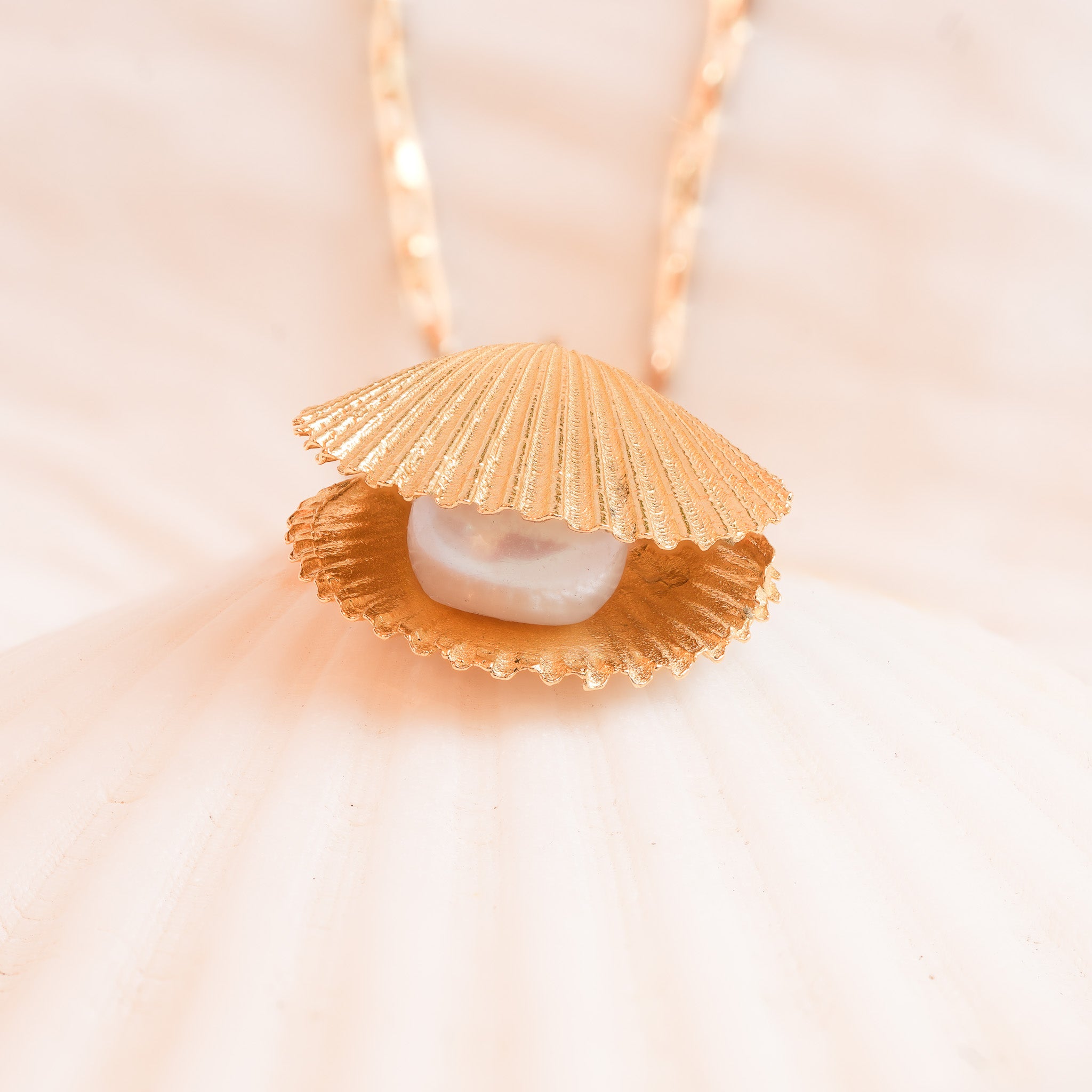 Gold scallop shell necklace with freshwater pearl on light background close-up