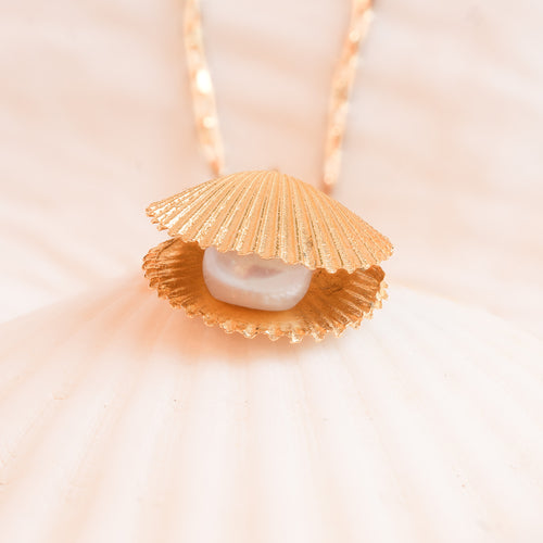 Gold scallop shell necklace with freshwater pearl on light background close-up