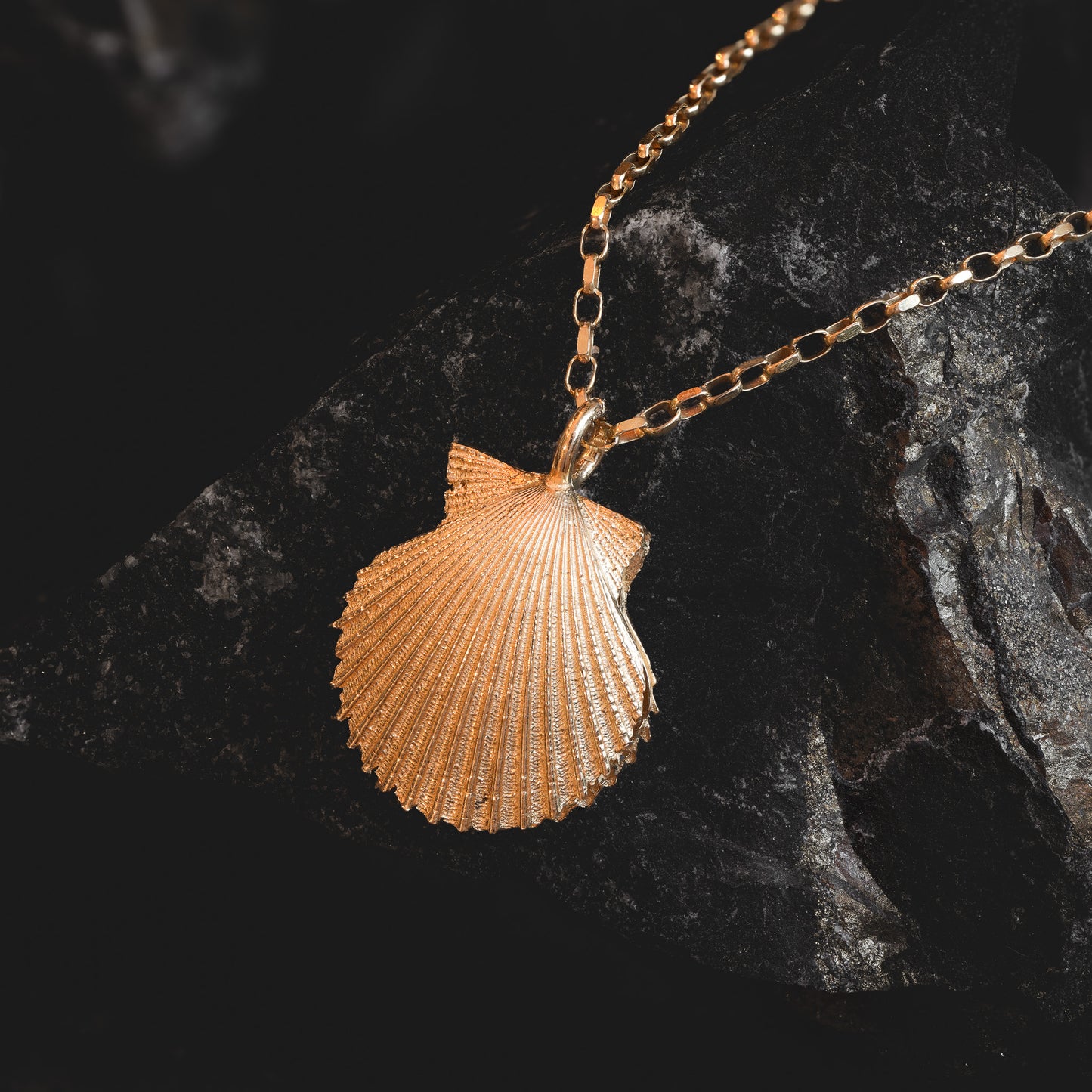 Gold double scallop shell necklace with freshwater pearl draped over dark stone