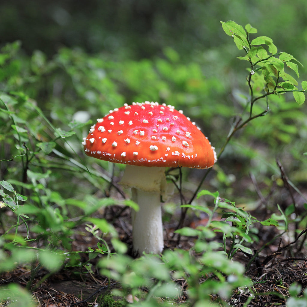 Gold Fly Agaric Mushroom Necklace
