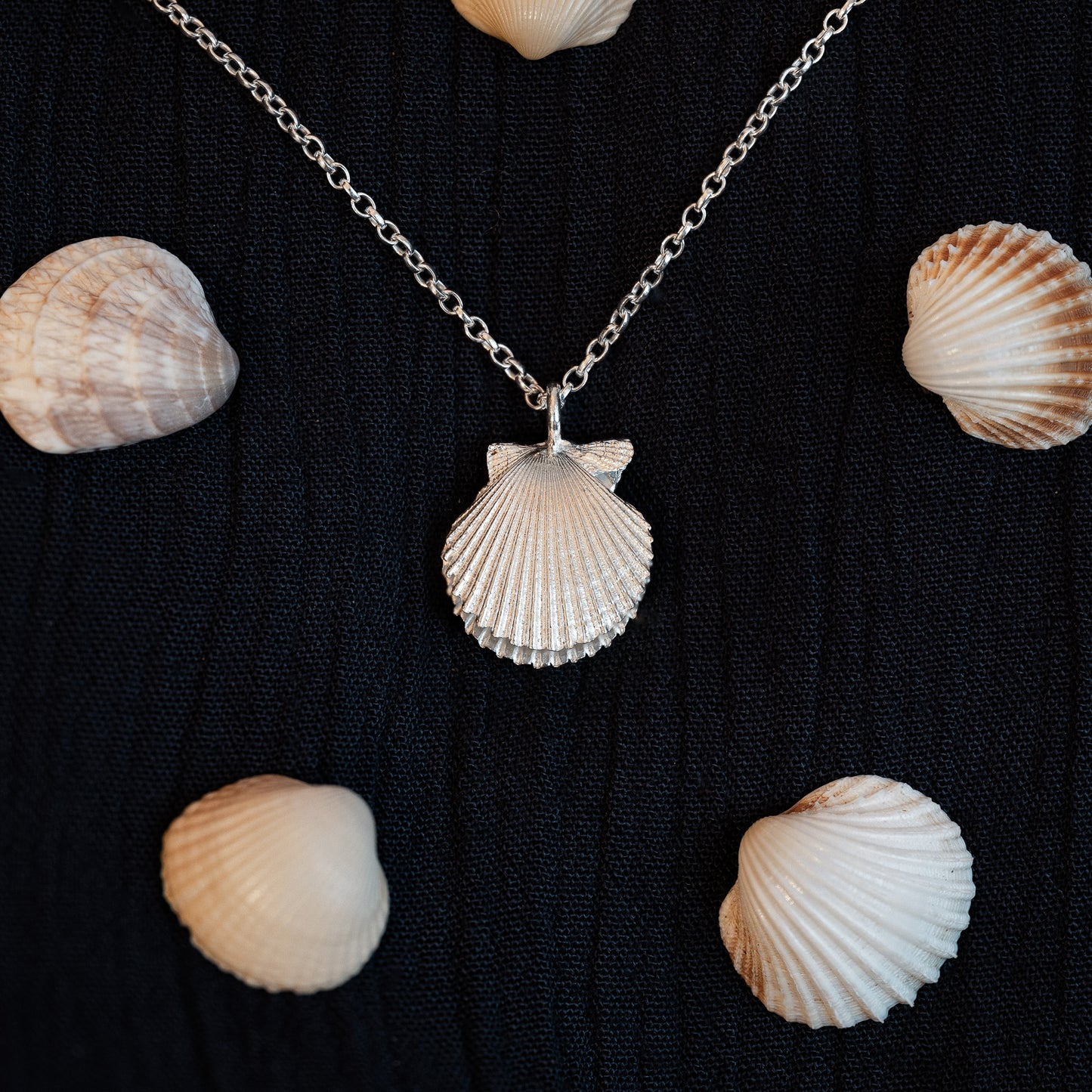 Silver Double Scallop Shell Necklace with Freshwater Pearl