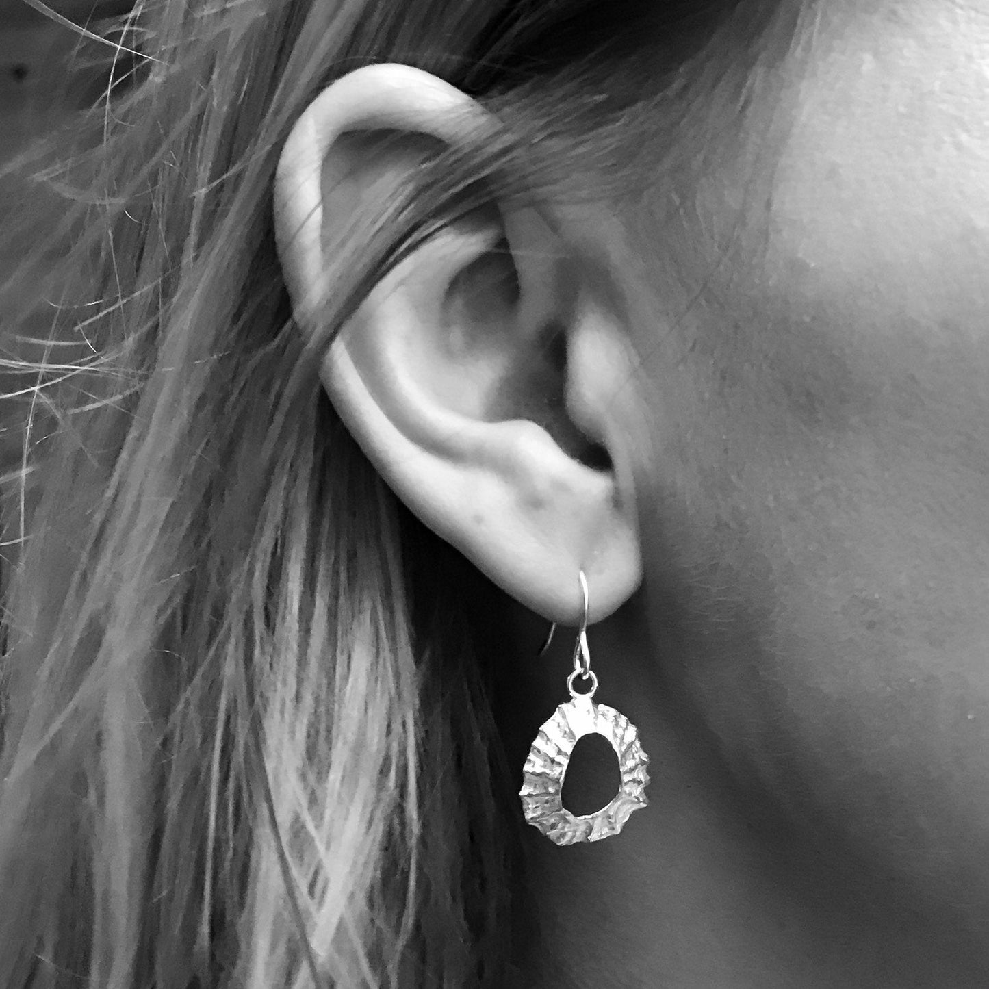 Sterling Silver Limpet Shell Earrings - Flitters