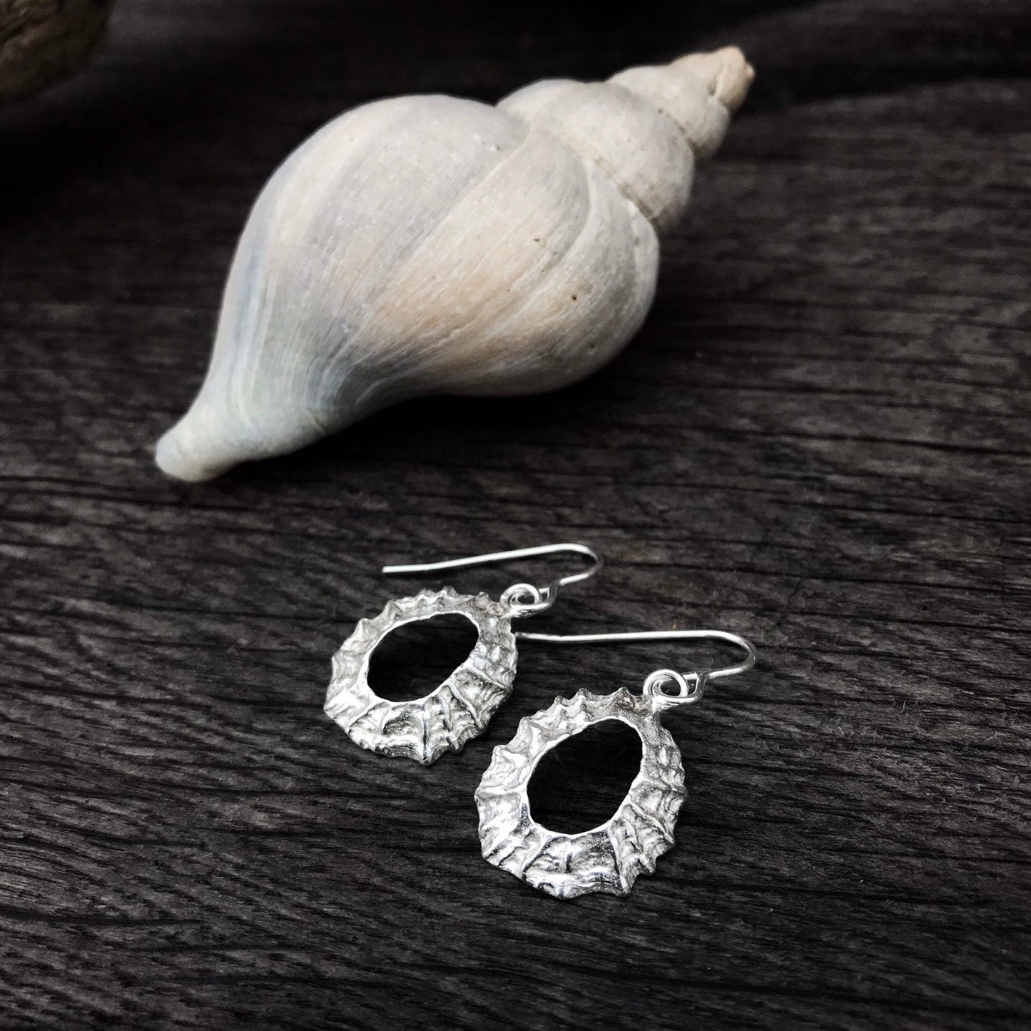 Sterling Silver Limpet Shell Earrings - Flitters