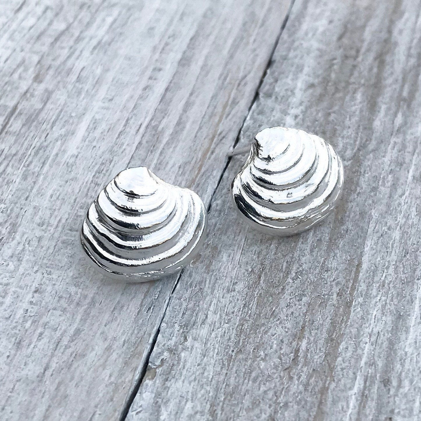 Sterling Silver Venus Clam Shell Stud Earrings