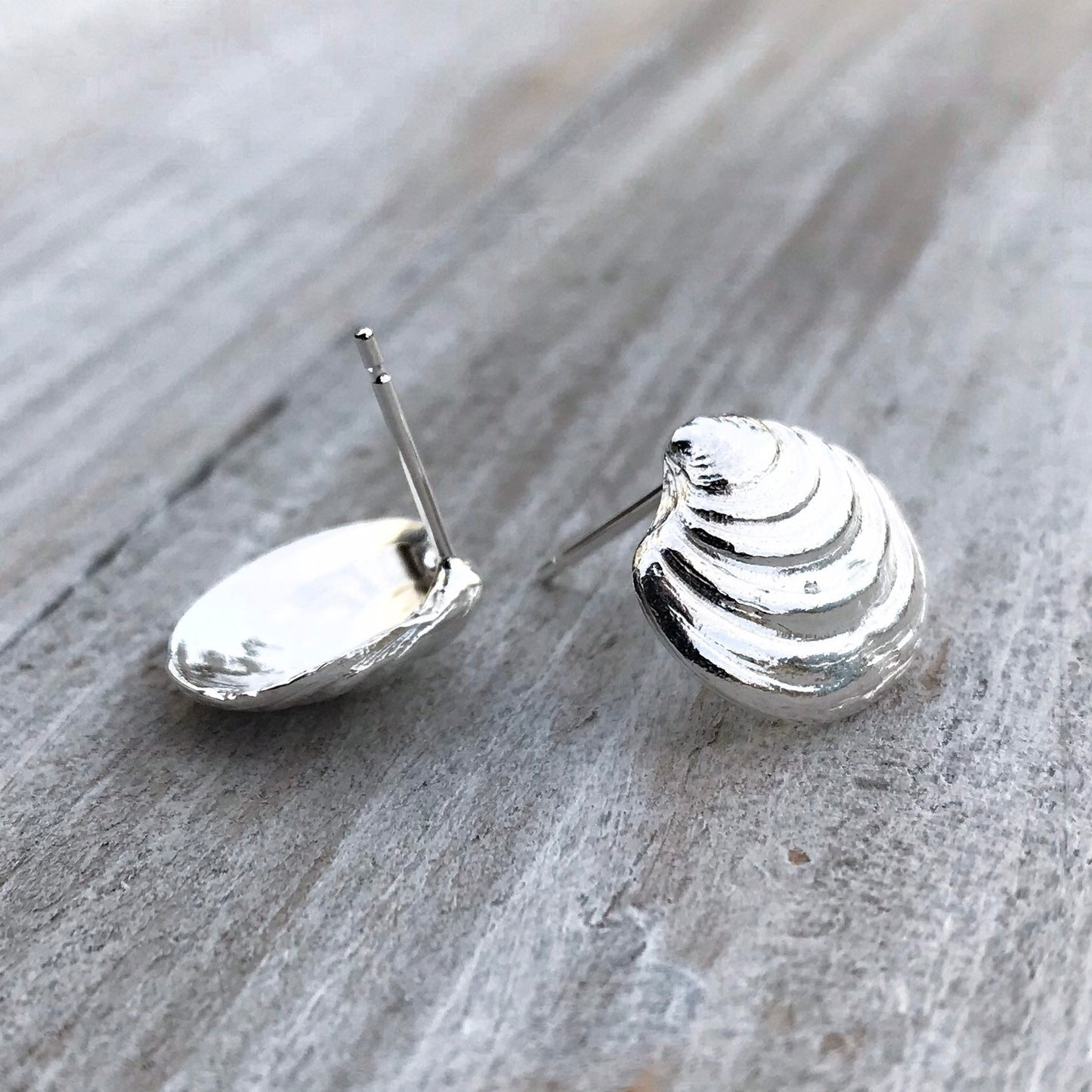 Sterling Silver Venus Clam Shell Stud Earrings