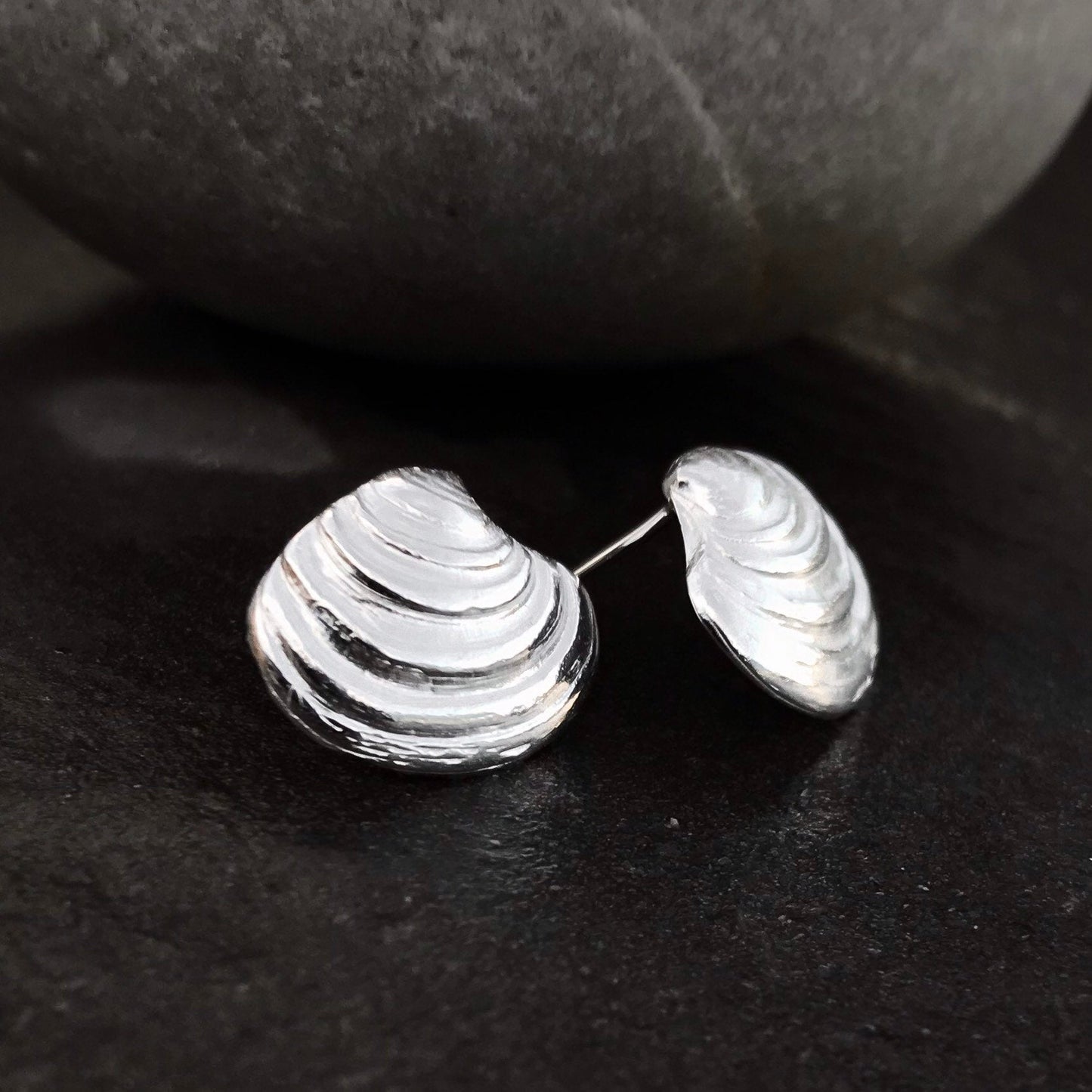 Sterling Silver Venus Clam Shell Stud Earrings