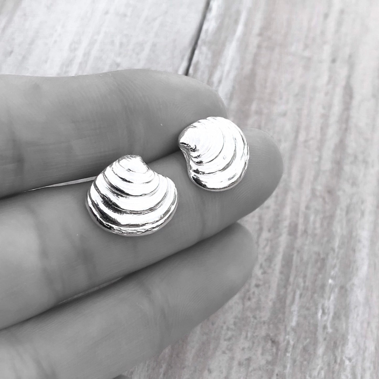 Sterling Silver Venus Clam Shell Stud Earrings