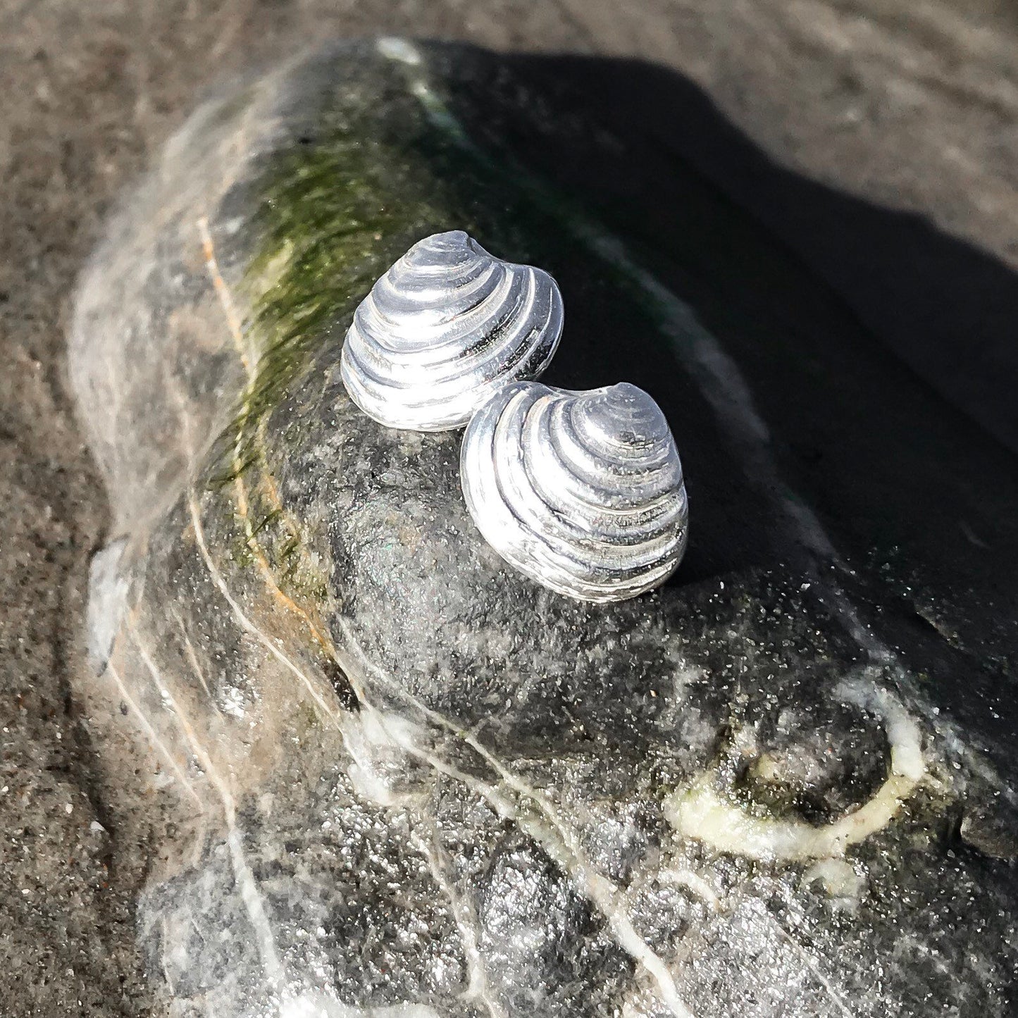 Sterling Silver Venus Clam Shell Stud Earrings