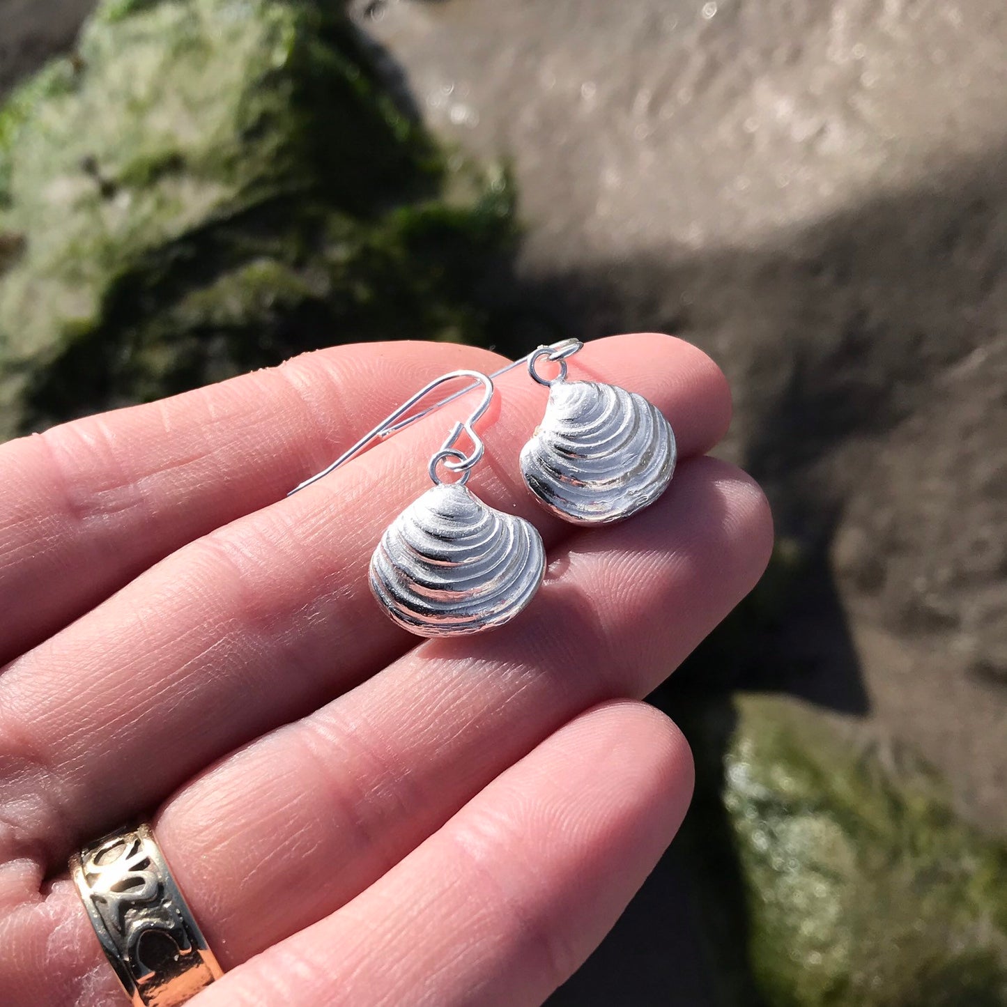 Sterling Silver Venus Clam Shell Dangle Earrings