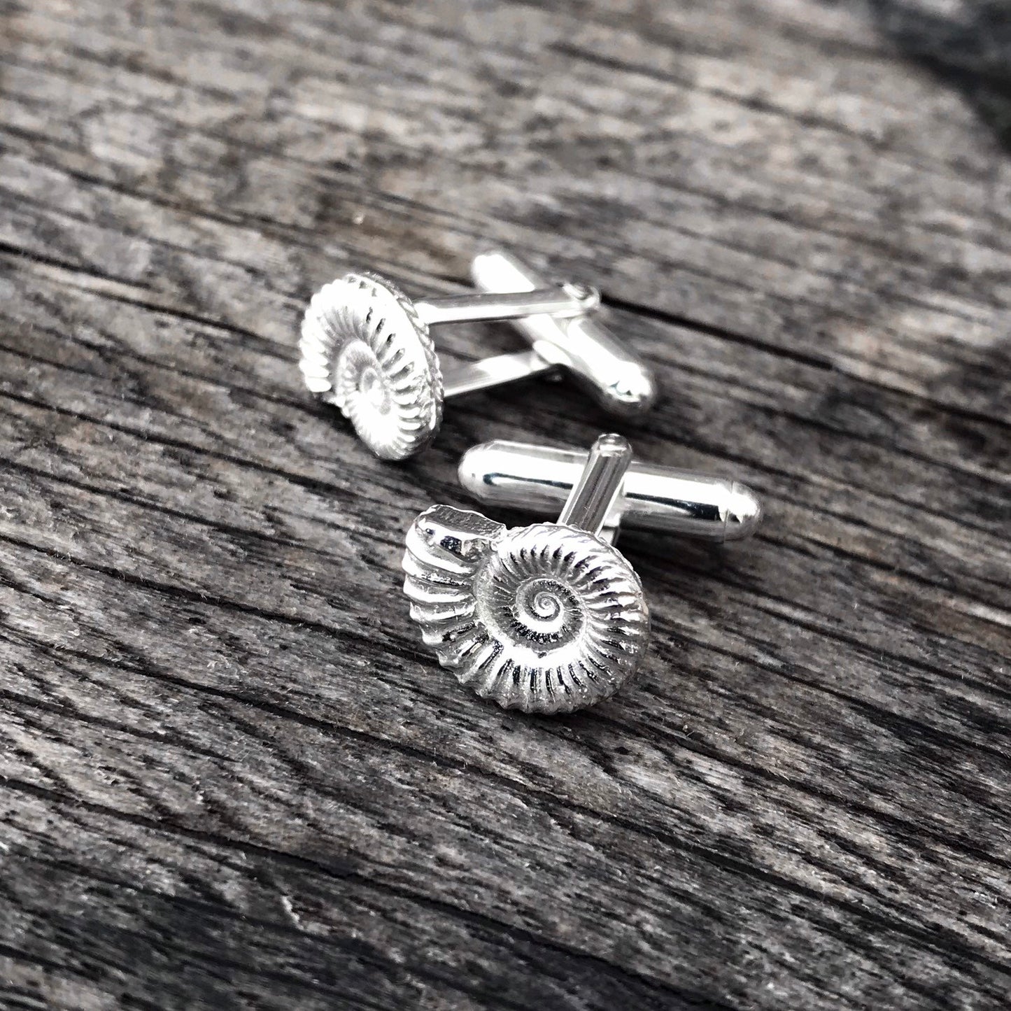 Ammonite Fossil Sterling Silver Cufflinks