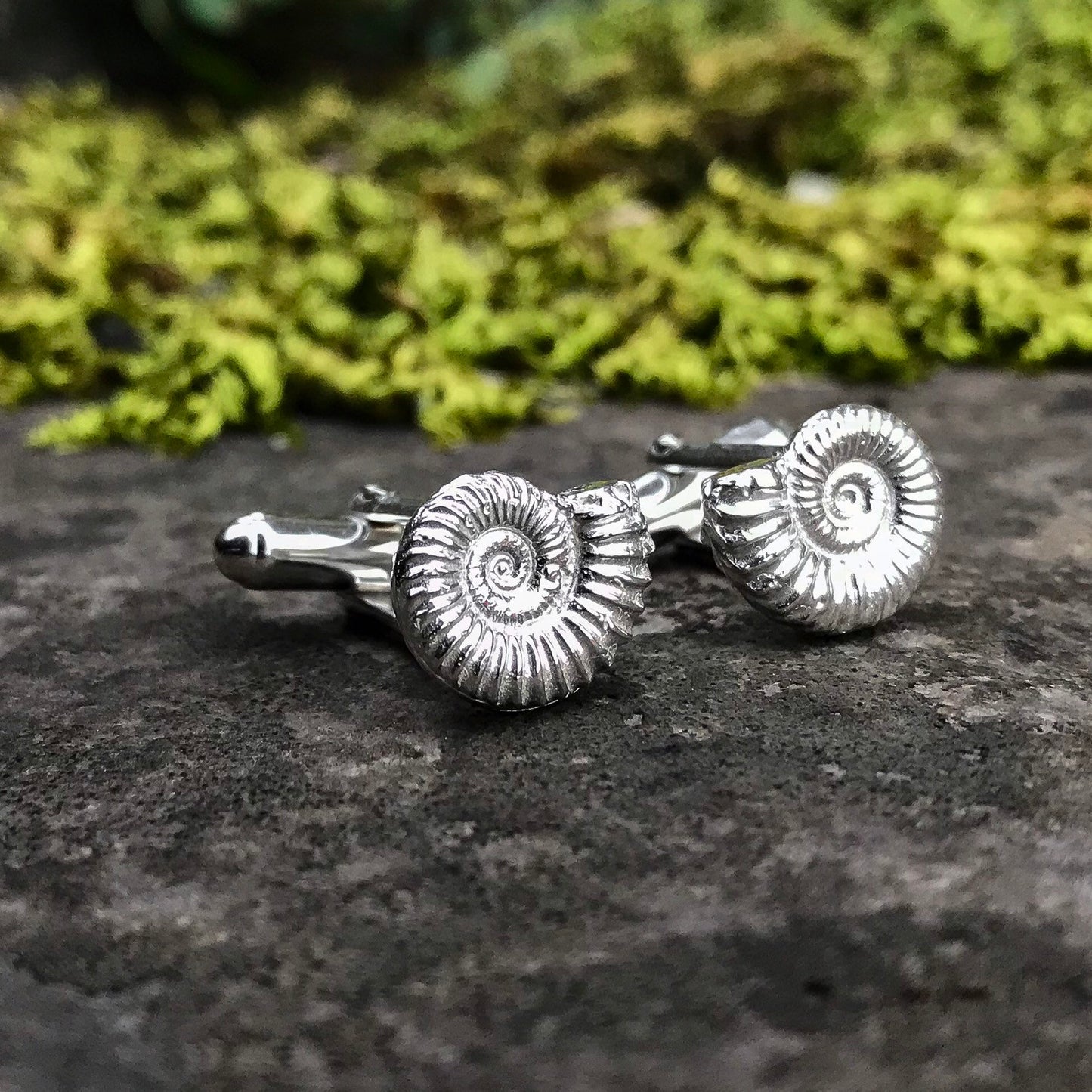 Ammonite Fossil Sterling Silver Cufflinks