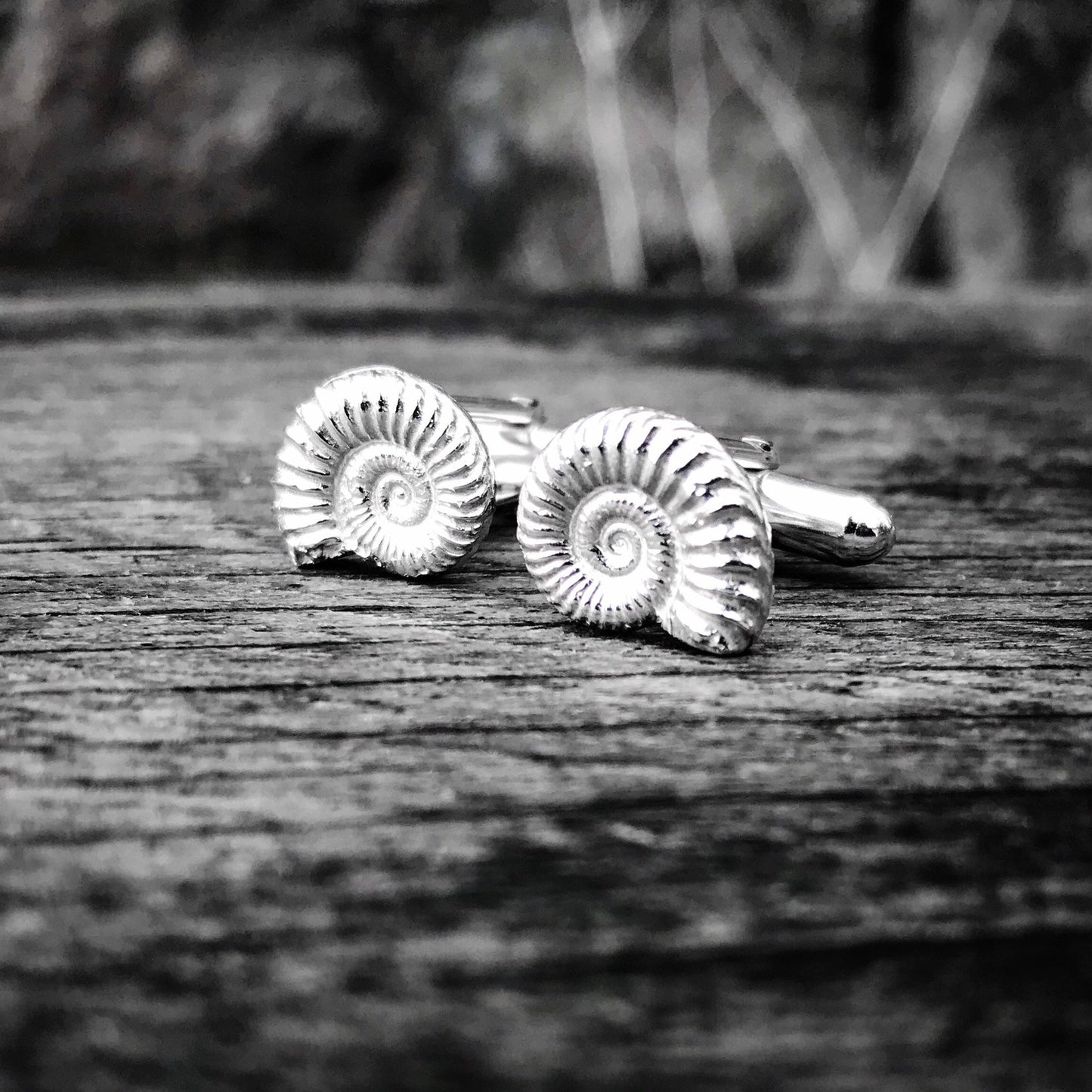 Ammonite Fossil Sterling Silver Cufflinks