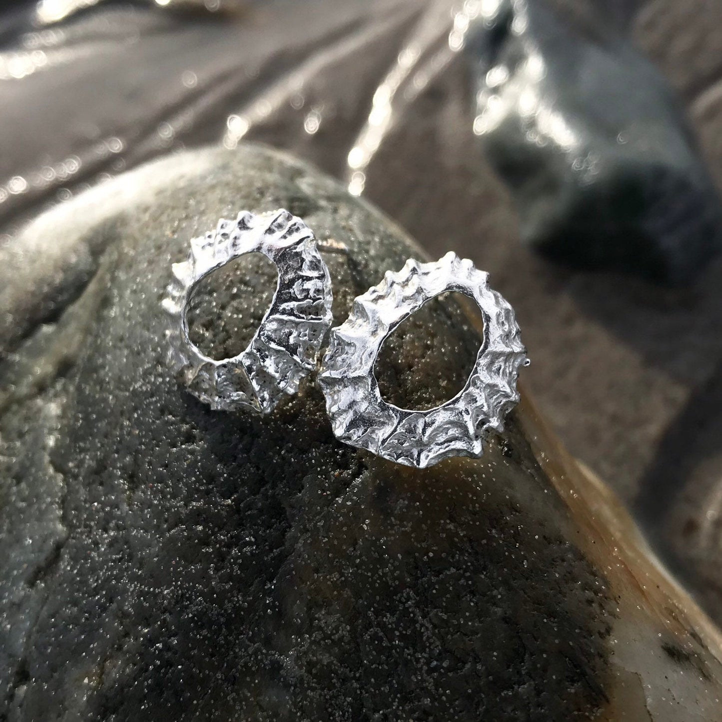 Sterling Silver Limpet Shell Earrings - Flitters