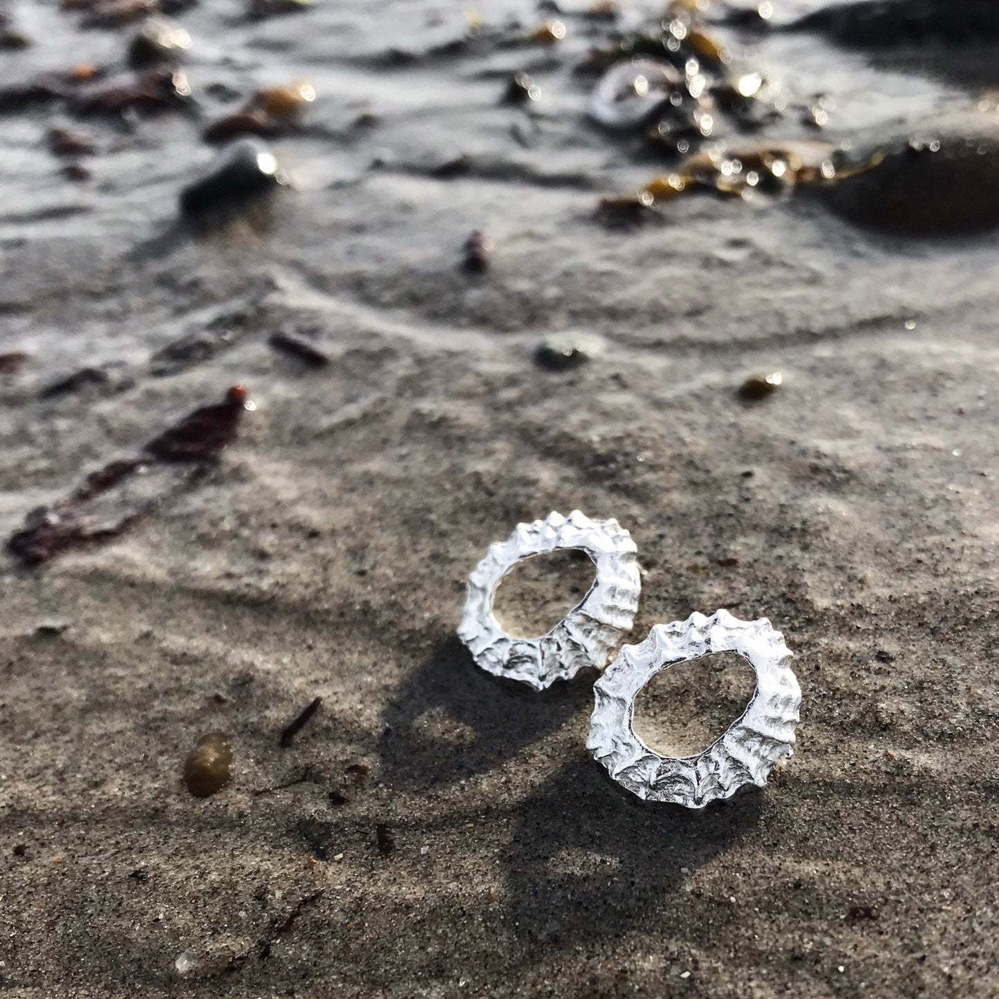 Sterling Silver Limpet Shell Stud Earrings - Flitters