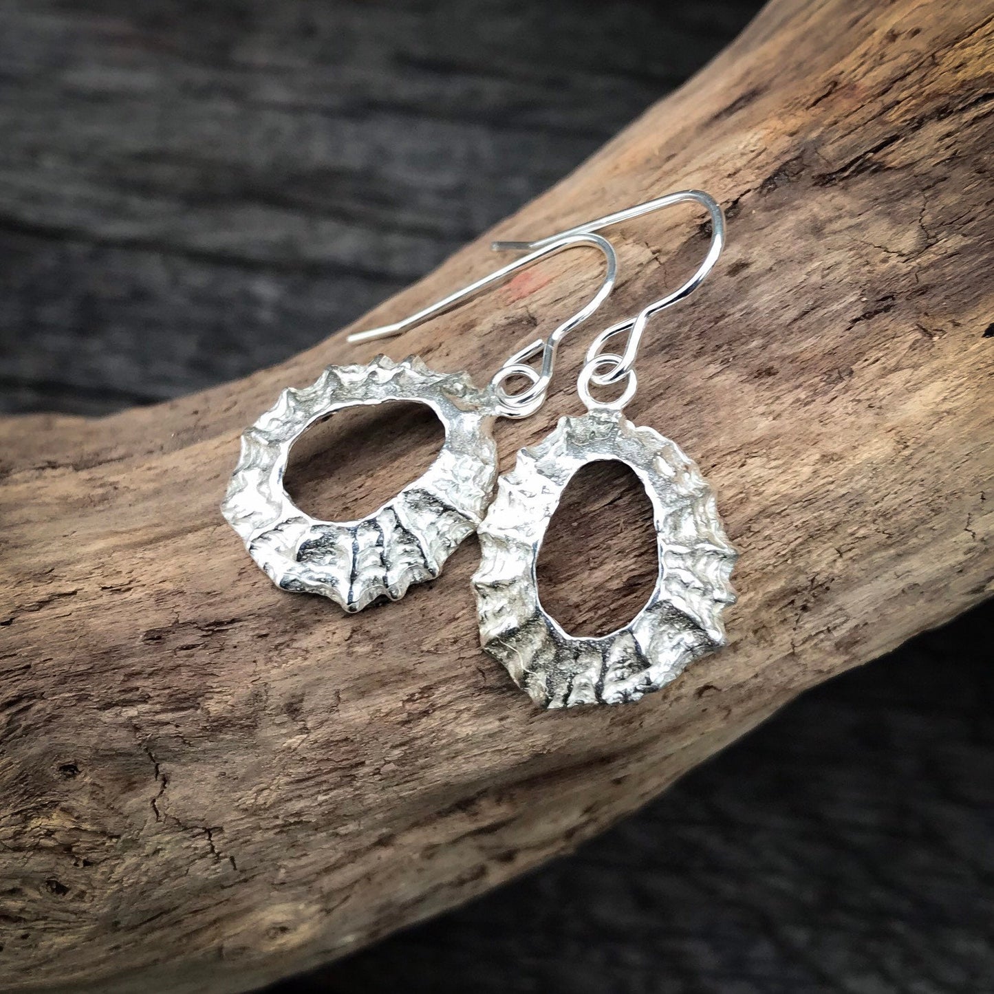 Sterling Silver Limpet Shell Earrings - Flitters