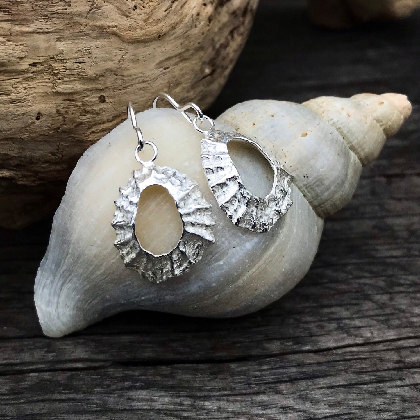 Sterling Silver Limpet Shell Earrings - Flitters