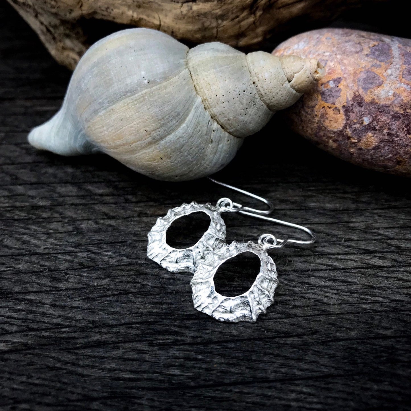 Sterling Silver Limpet Shell Earrings - Flitters