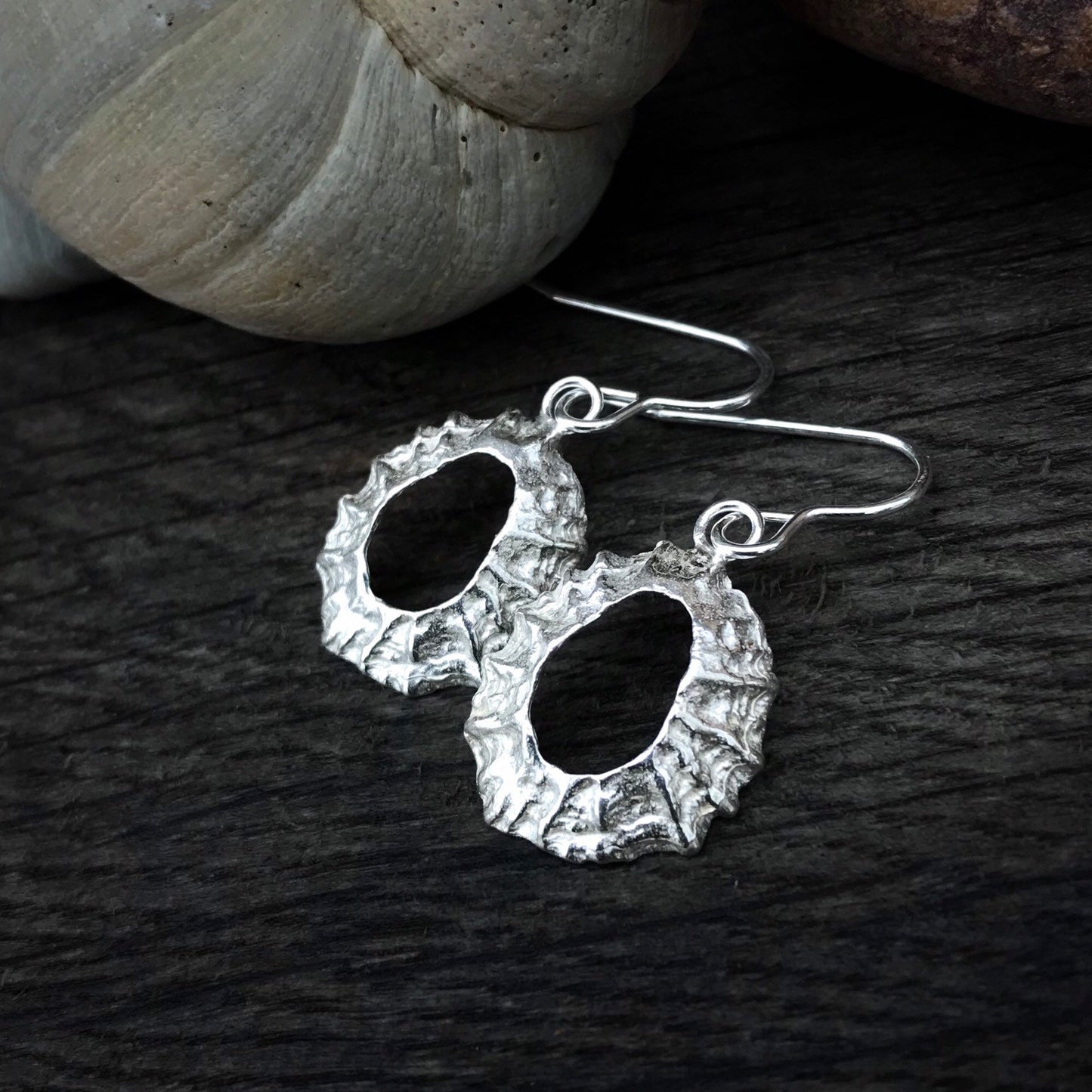 Sterling Silver Limpet Shell Earrings - Flitters