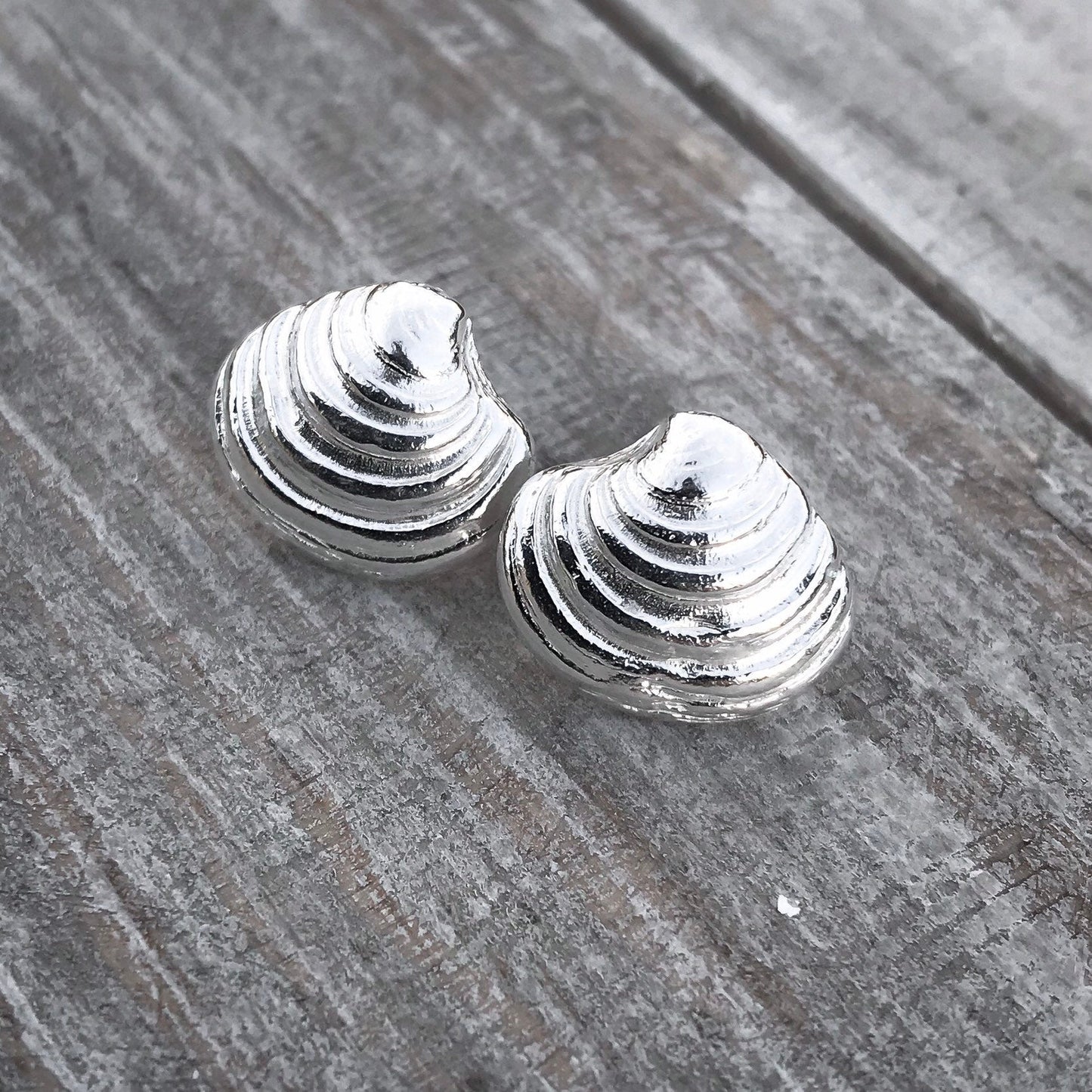 Sterling Silver Venus Clam Shell Stud Earrings