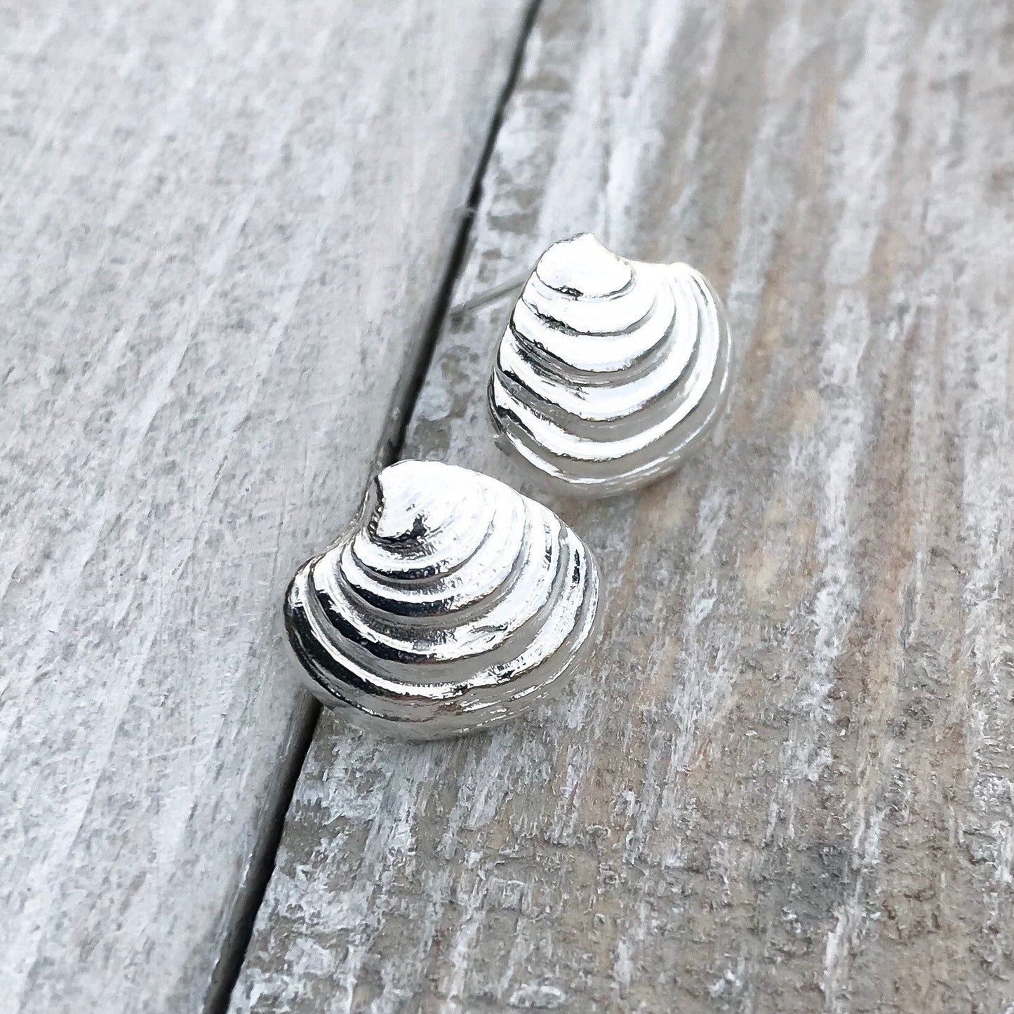 Sterling Silver Venus Clam Shell Stud Earrings