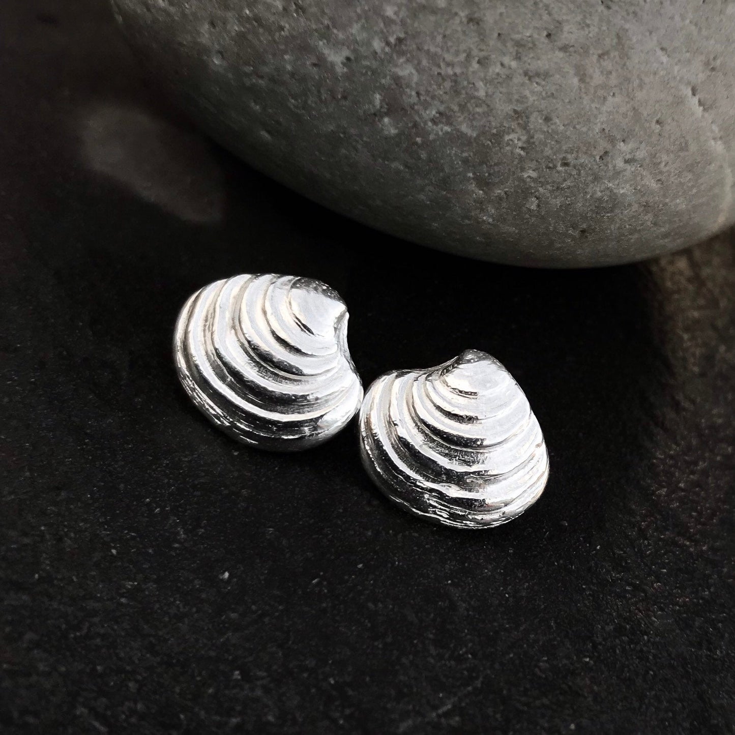 Sterling Silver Venus Clam Shell Stud Earrings