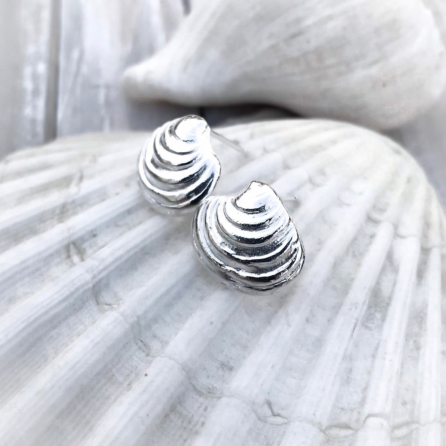 Sterling Silver Venus Clam Shell Stud Earrings