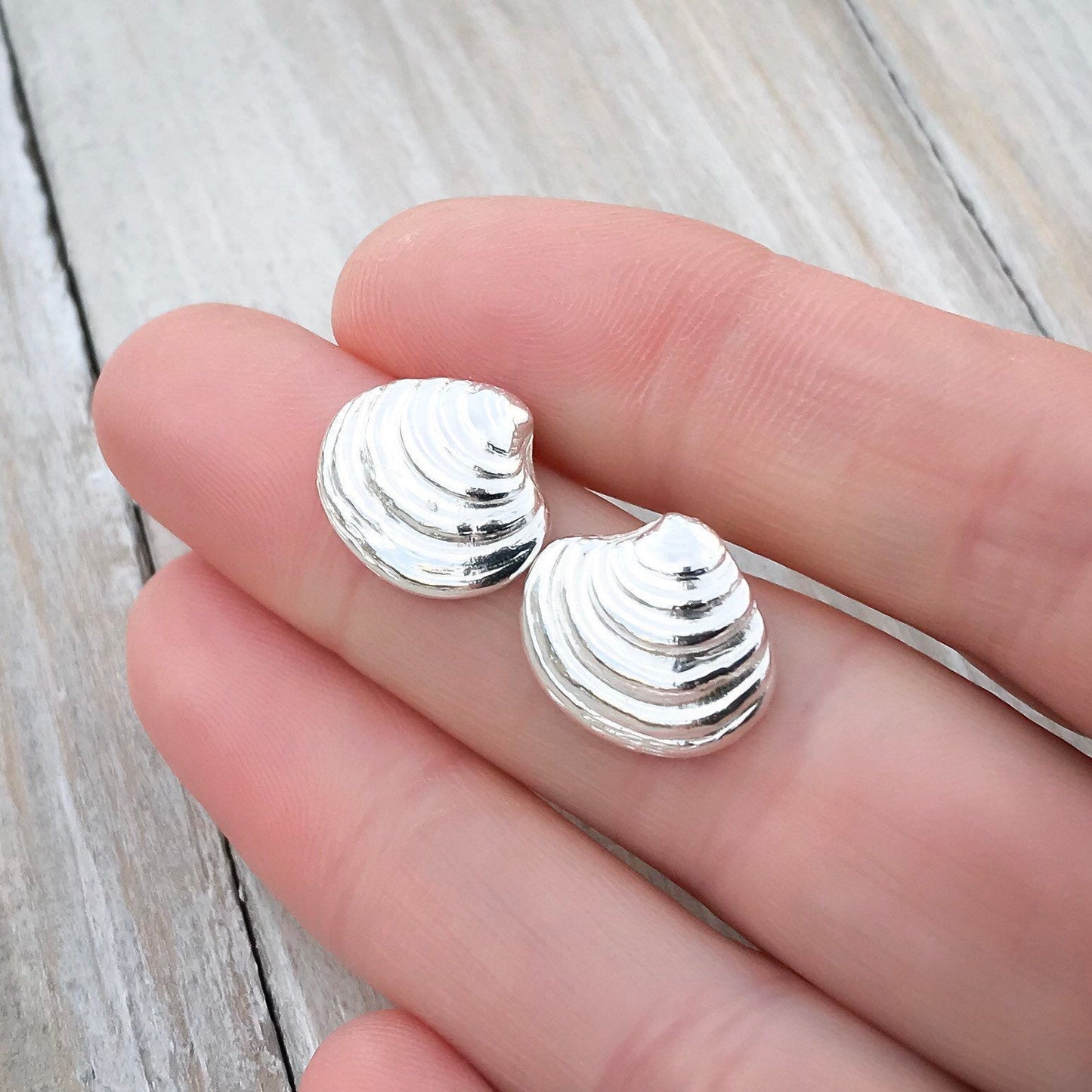 Sterling Silver Venus Clam Shell Stud Earrings