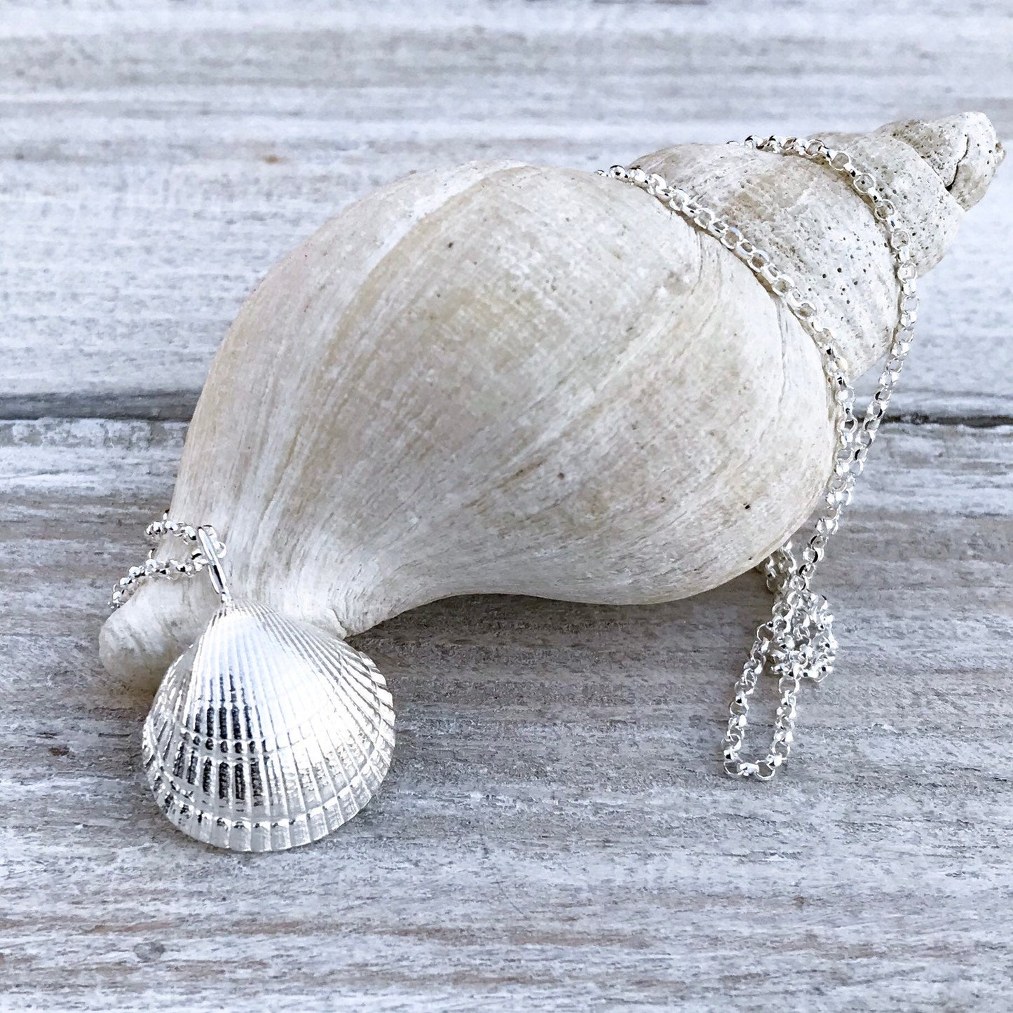 Sterling Silver Cockle Shell Necklace