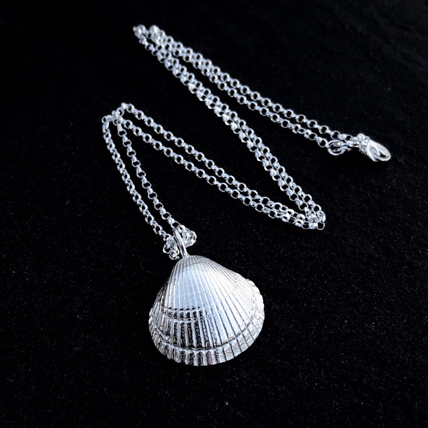 Sterling Silver Cockle Shell Necklace