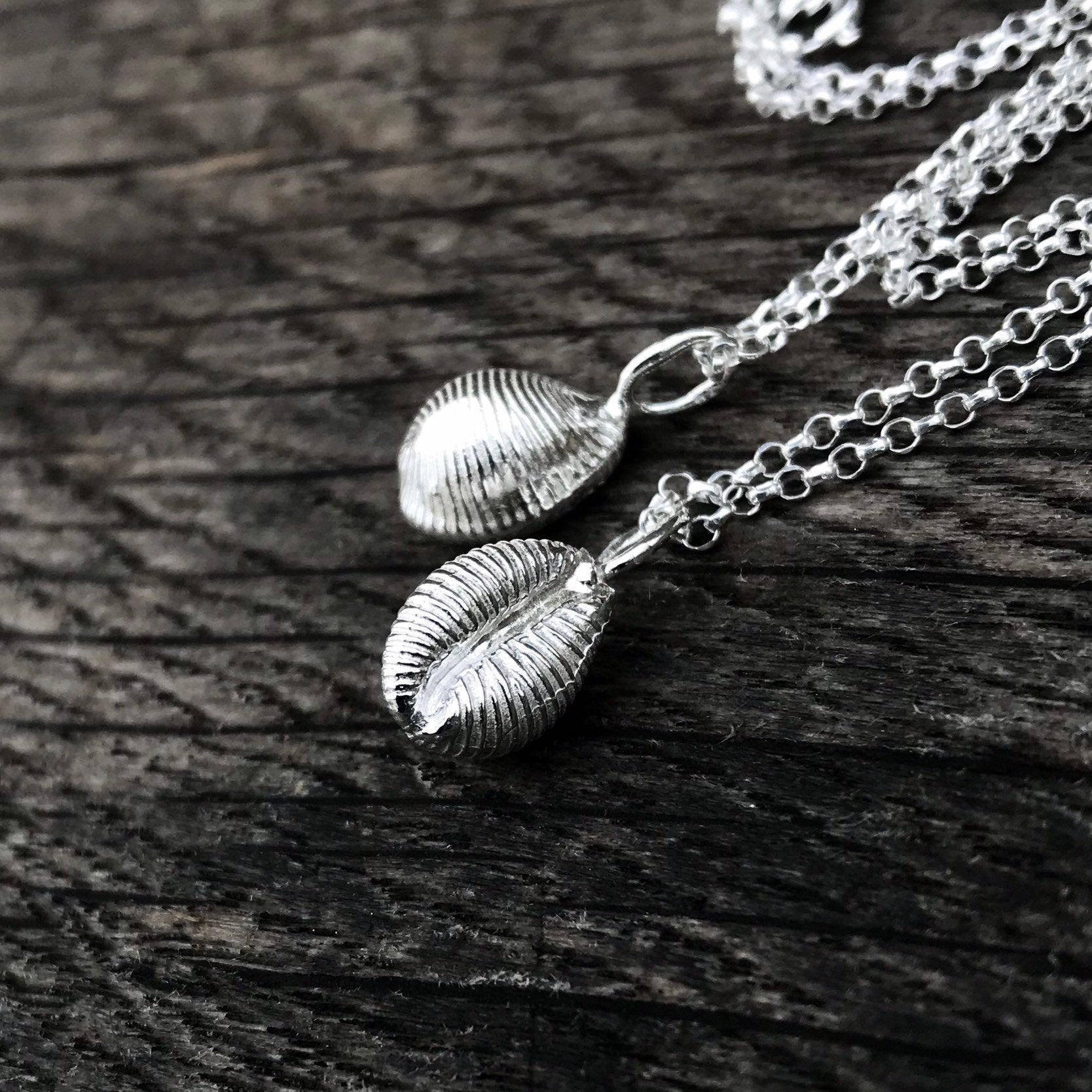 Sterling Silver Cowrie Shell Necklace