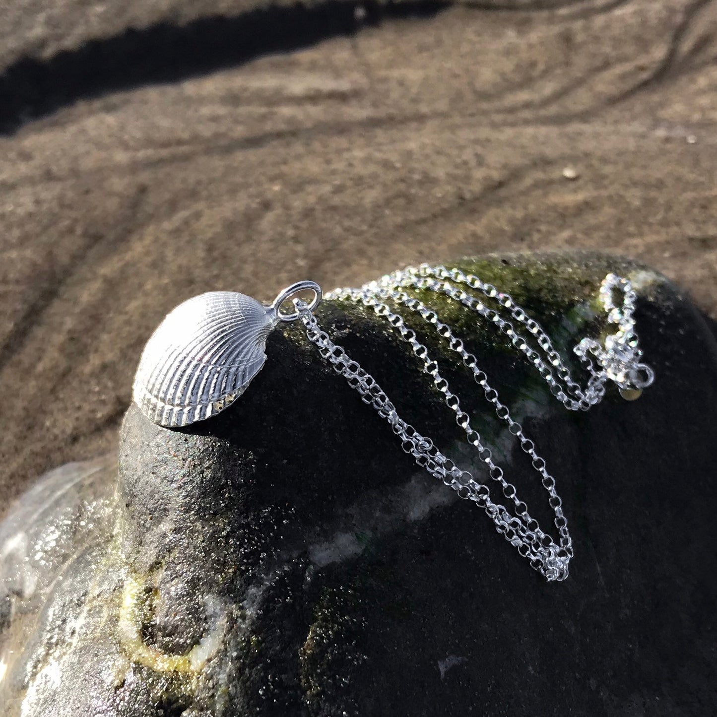 Sterling Silver Cockle Shell Necklace