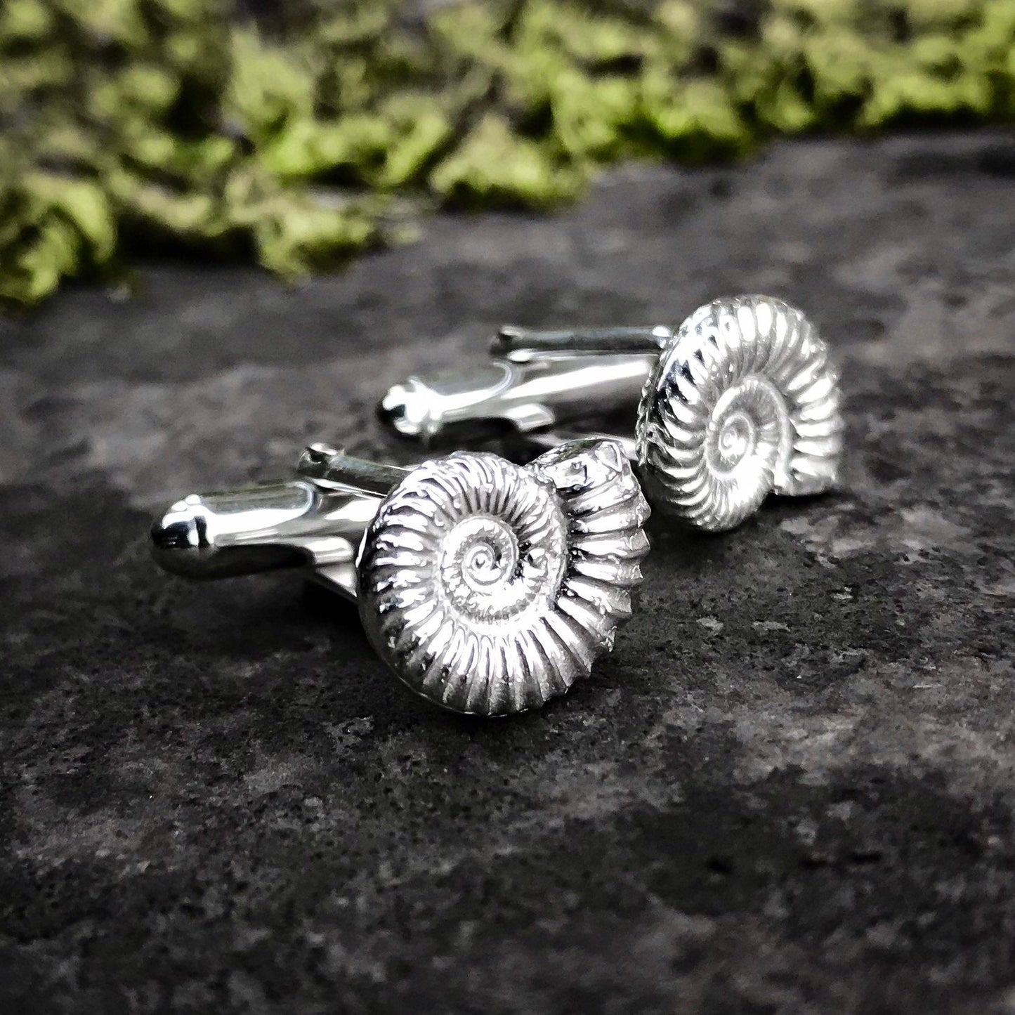 Ammonite Fossil Sterling Silver Cufflinks