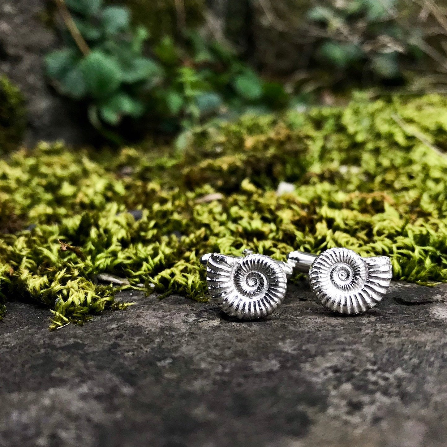 Ammonite Fossil Sterling Silver Cufflinks