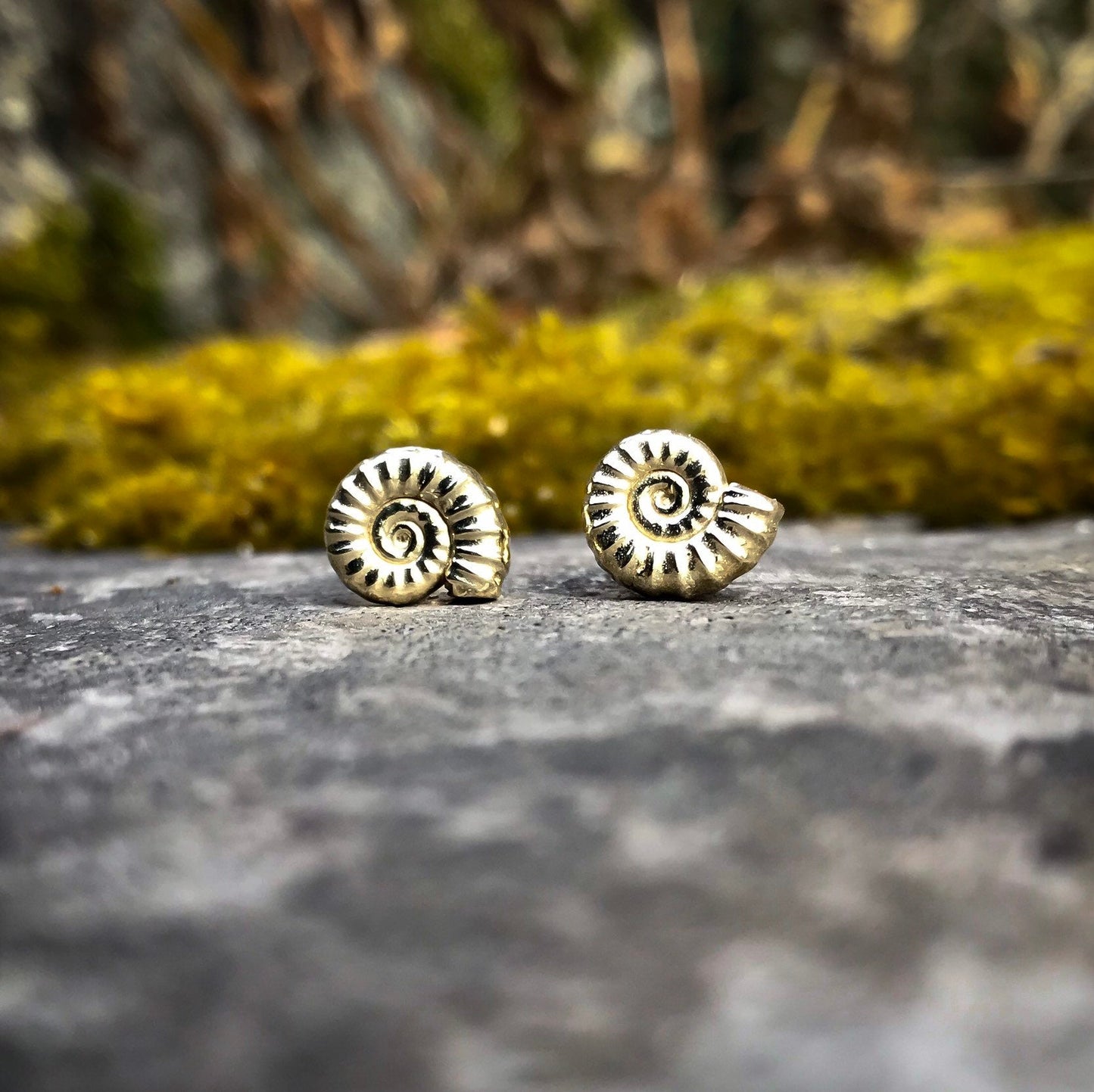 Gold Ammonite Fossil Stud Earrings