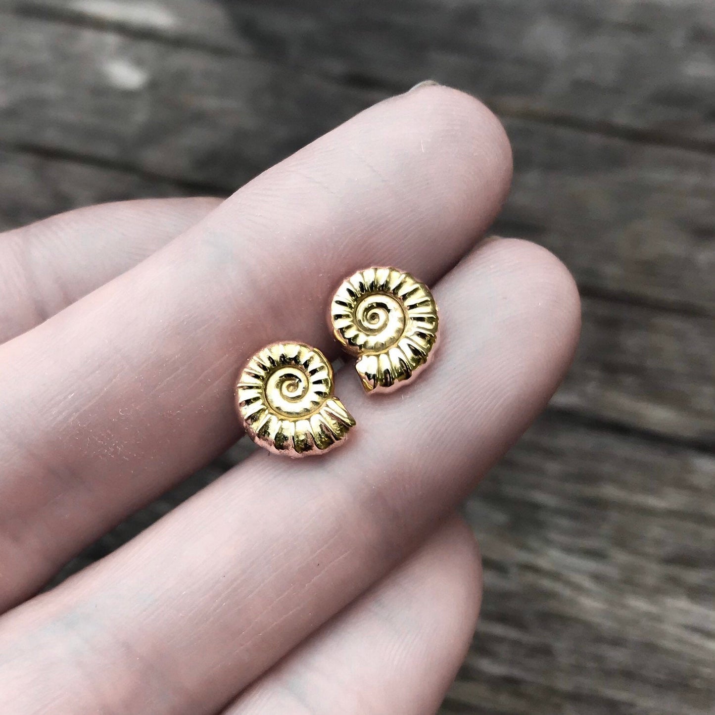 Gold Ammonite Fossil Stud Earrings