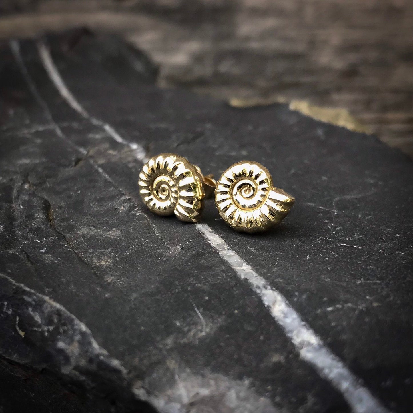 Gold Ammonite Fossil Stud Earrings