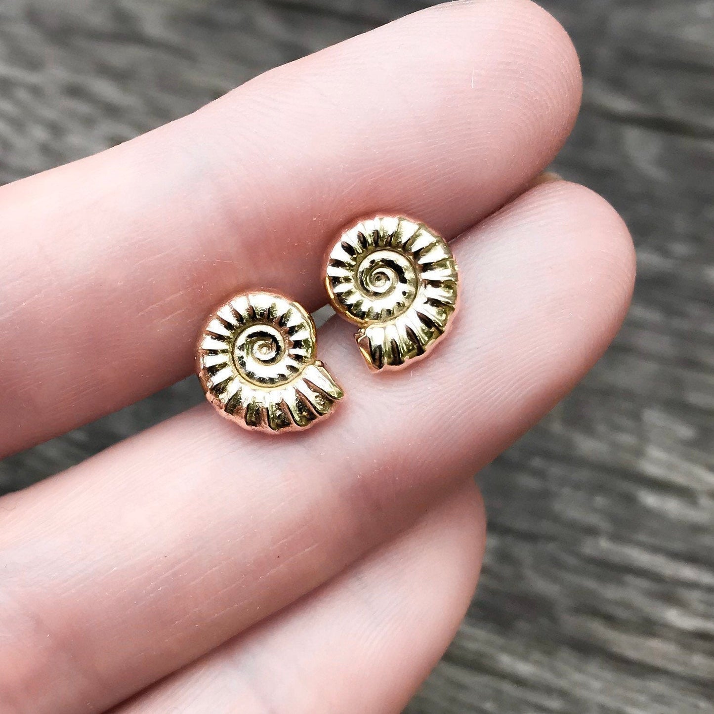 Gold Ammonite Fossil Stud Earrings