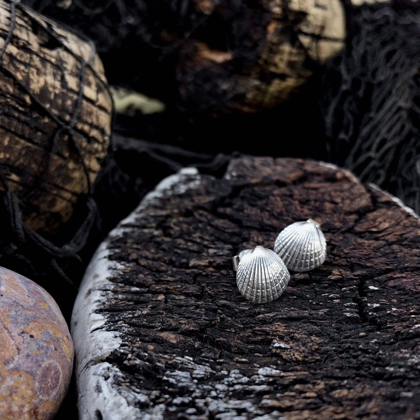 Sterling Silver Cockle Shell Stud Earrings