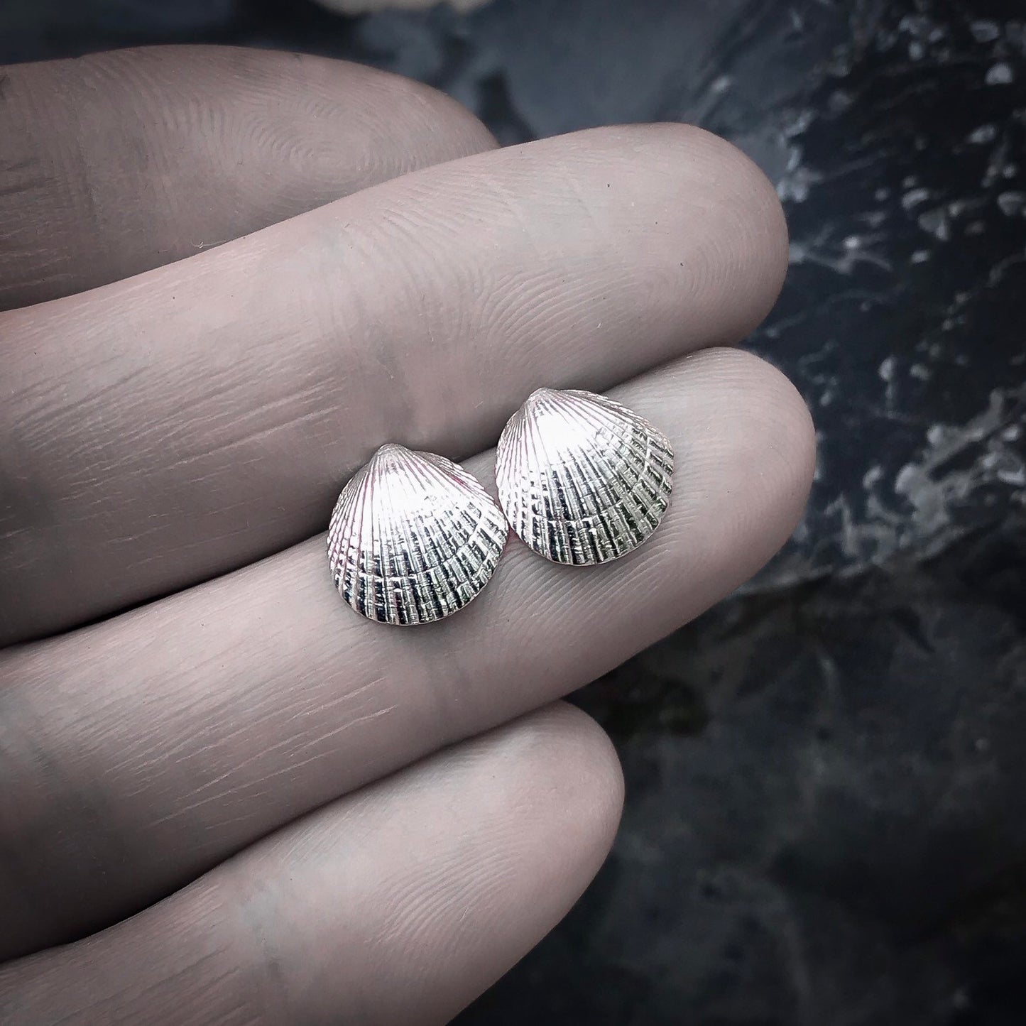 Sterling Silver Cockle Shell Stud Earrings