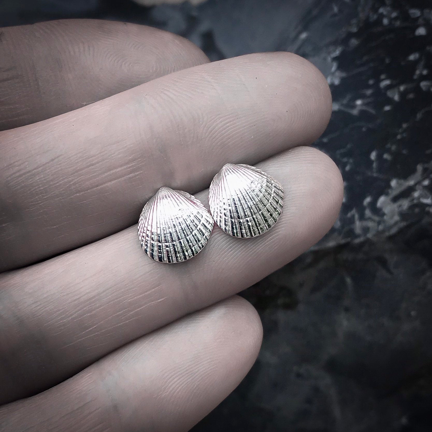 Gold Cockle Shell Stud Earrings