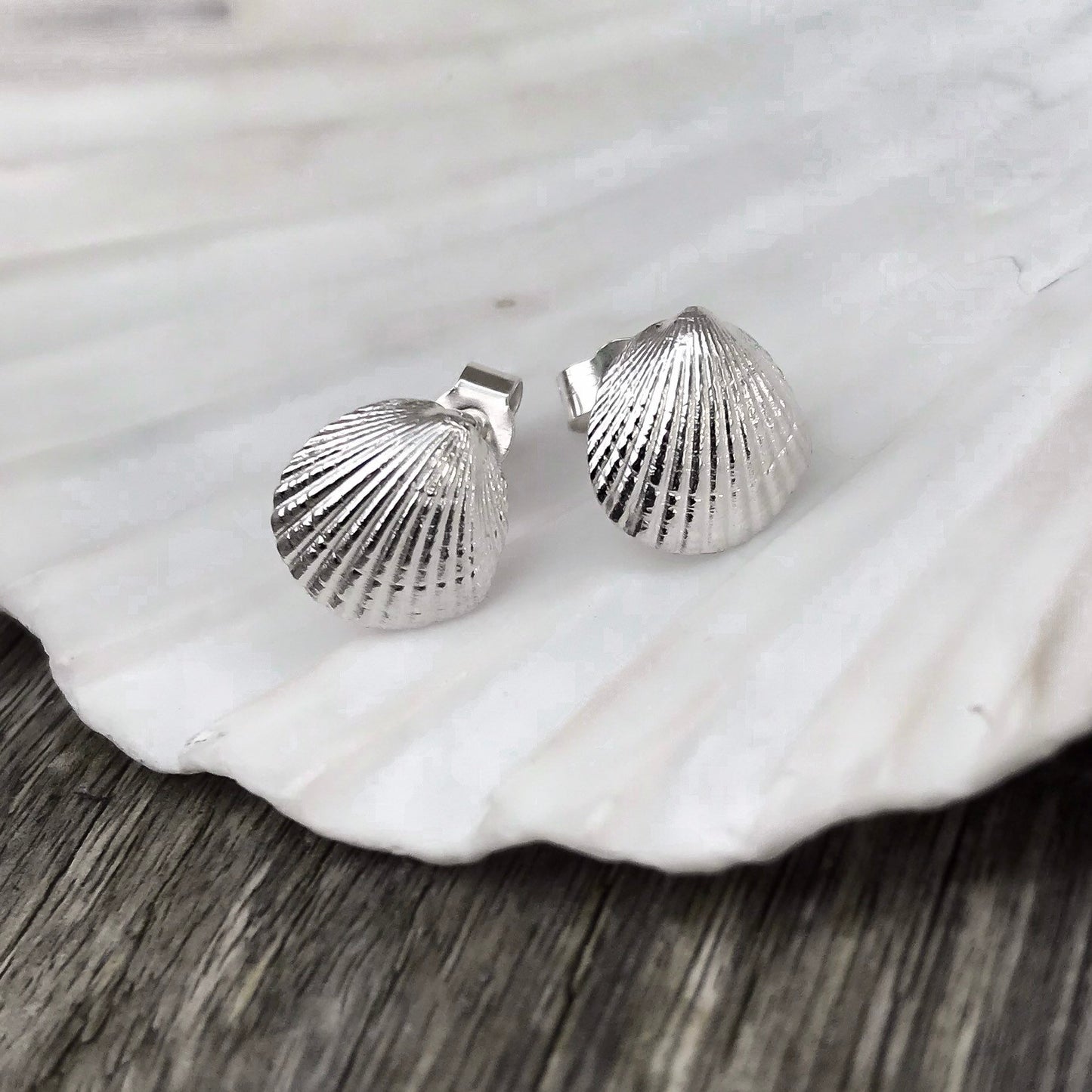 Sterling Silver Cockle Shell Stud Earrings