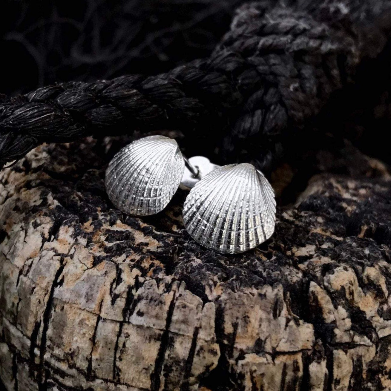 Sterling Silver Cockle Shell Stud Earrings
