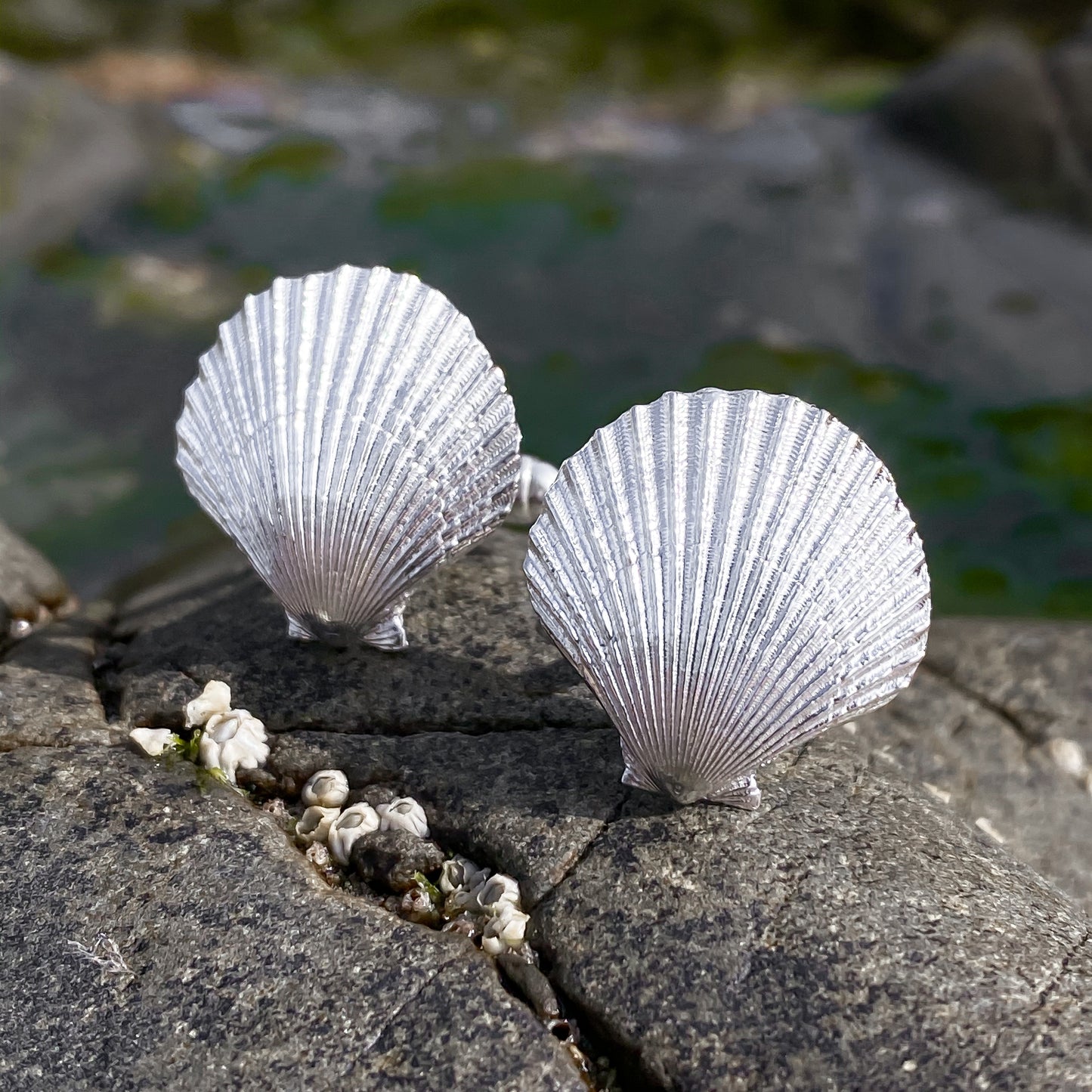 Sterling Silver Scallop Shell Cufflinks - Queenie Shells