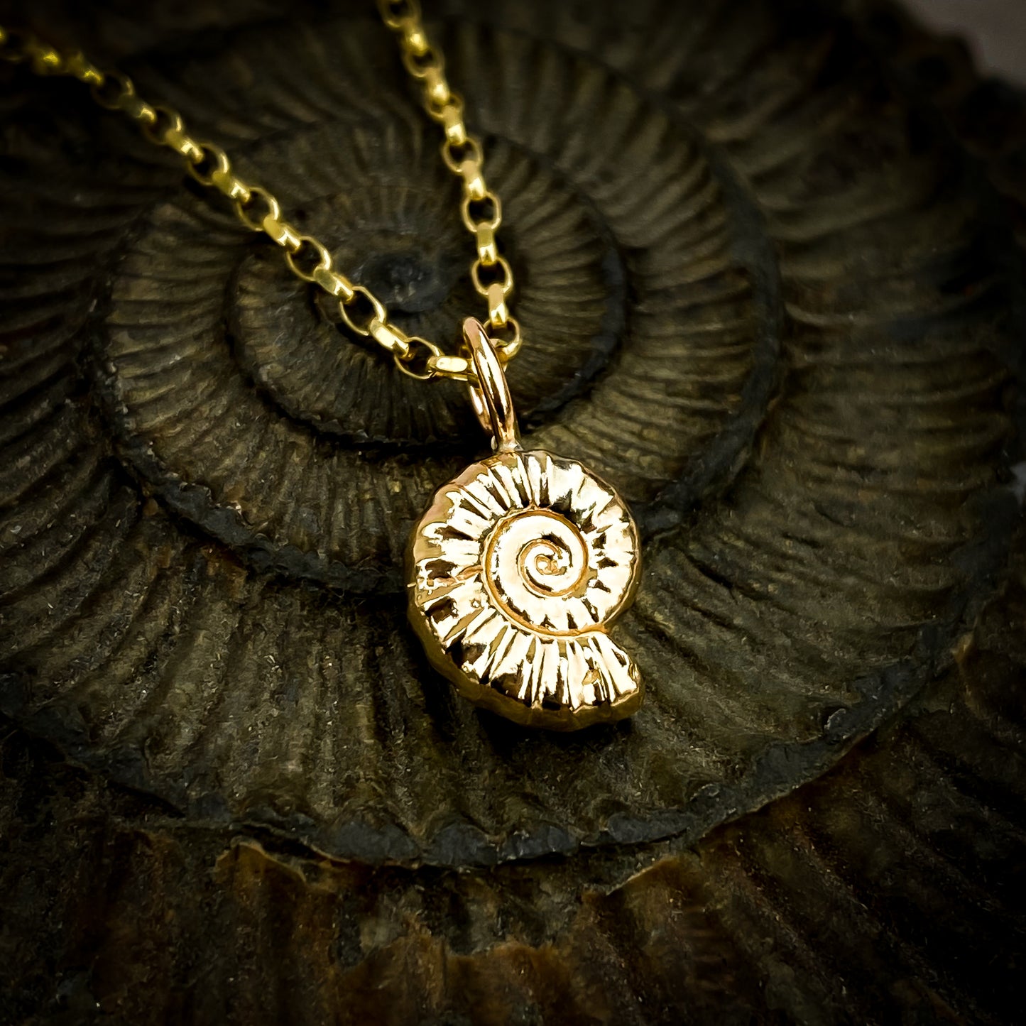 Small Gold Ammonite Necklace
