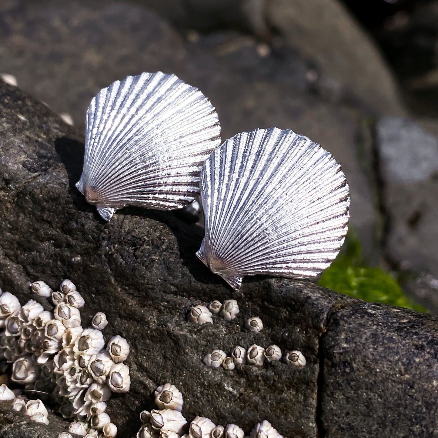 Sterling Silver Scallop Shell Cufflinks - Queenie Shells