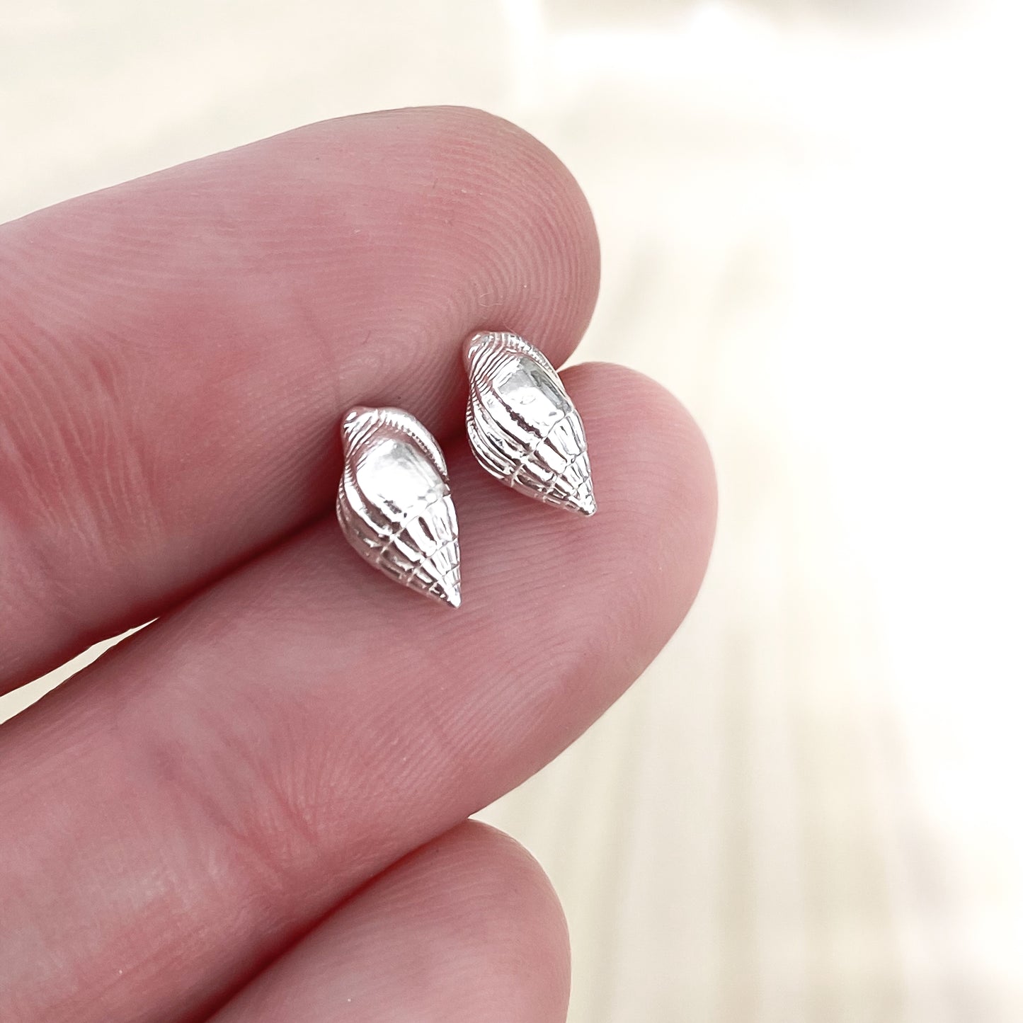 Silver Periwinkle Shell Stud Earrings