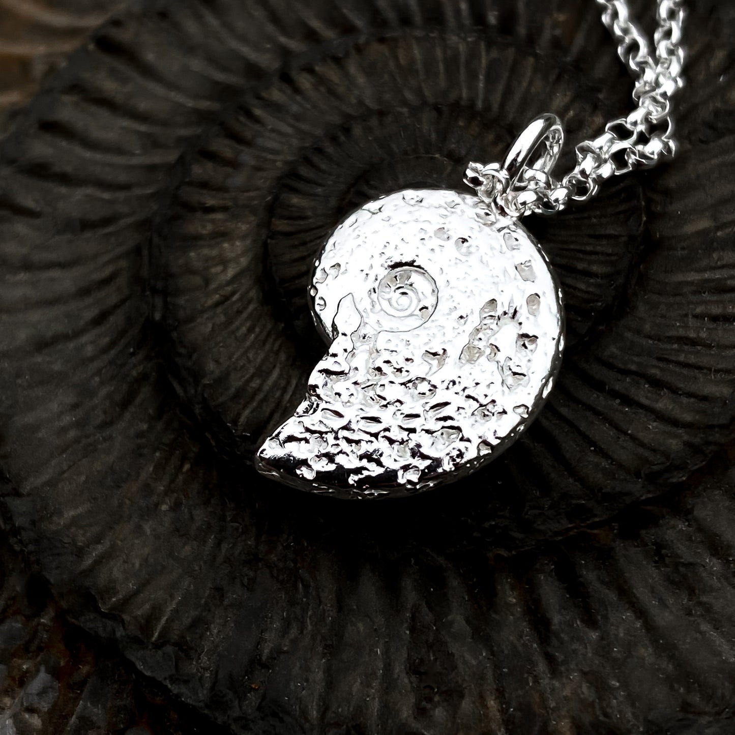 Ammonite Sterling Silver Necklace