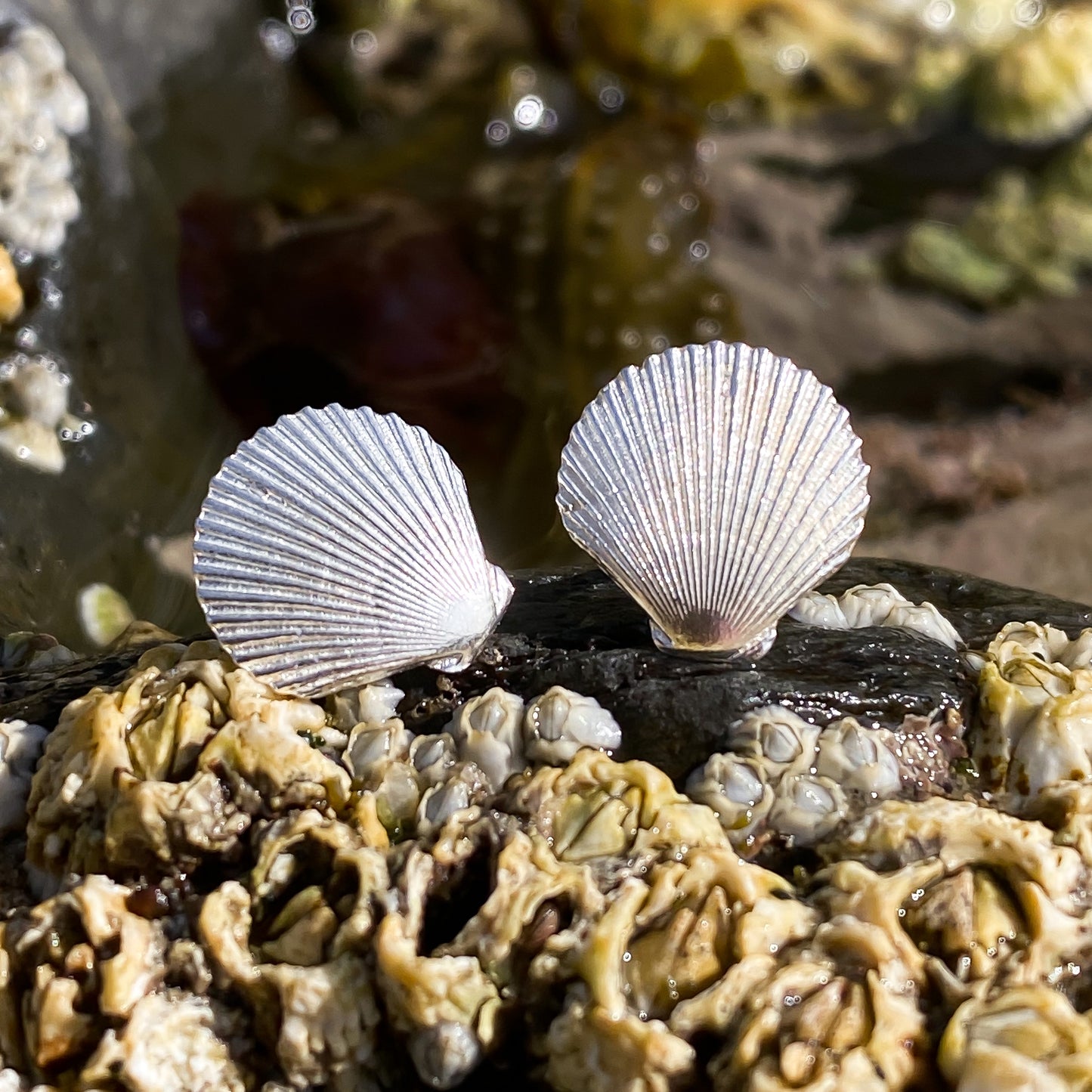 Sterling Silver Scallop Shell Earrings - Queenies