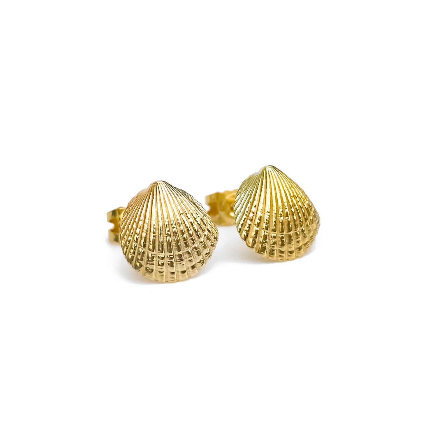 Gold Cockle Shell Stud Earrings