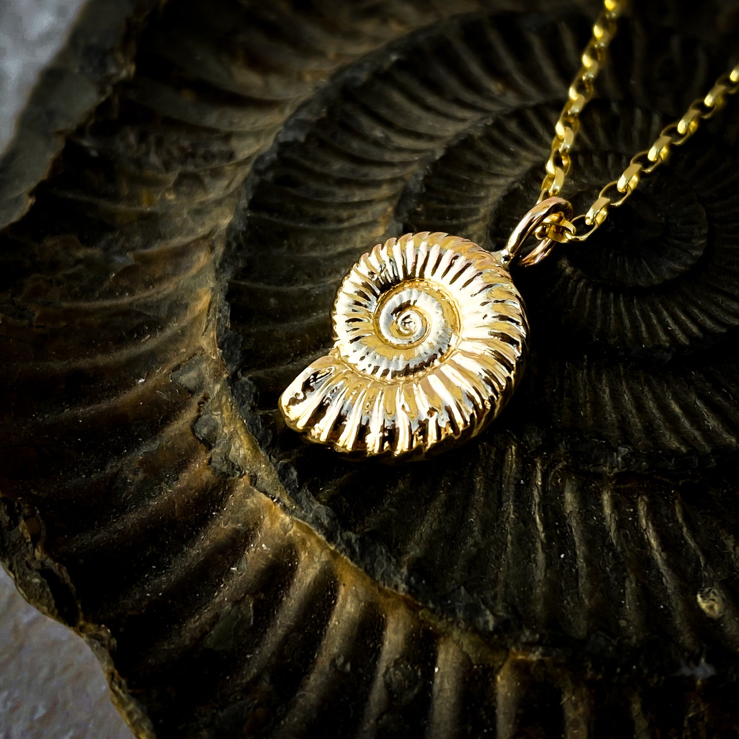 Gold Ammonite Necklace